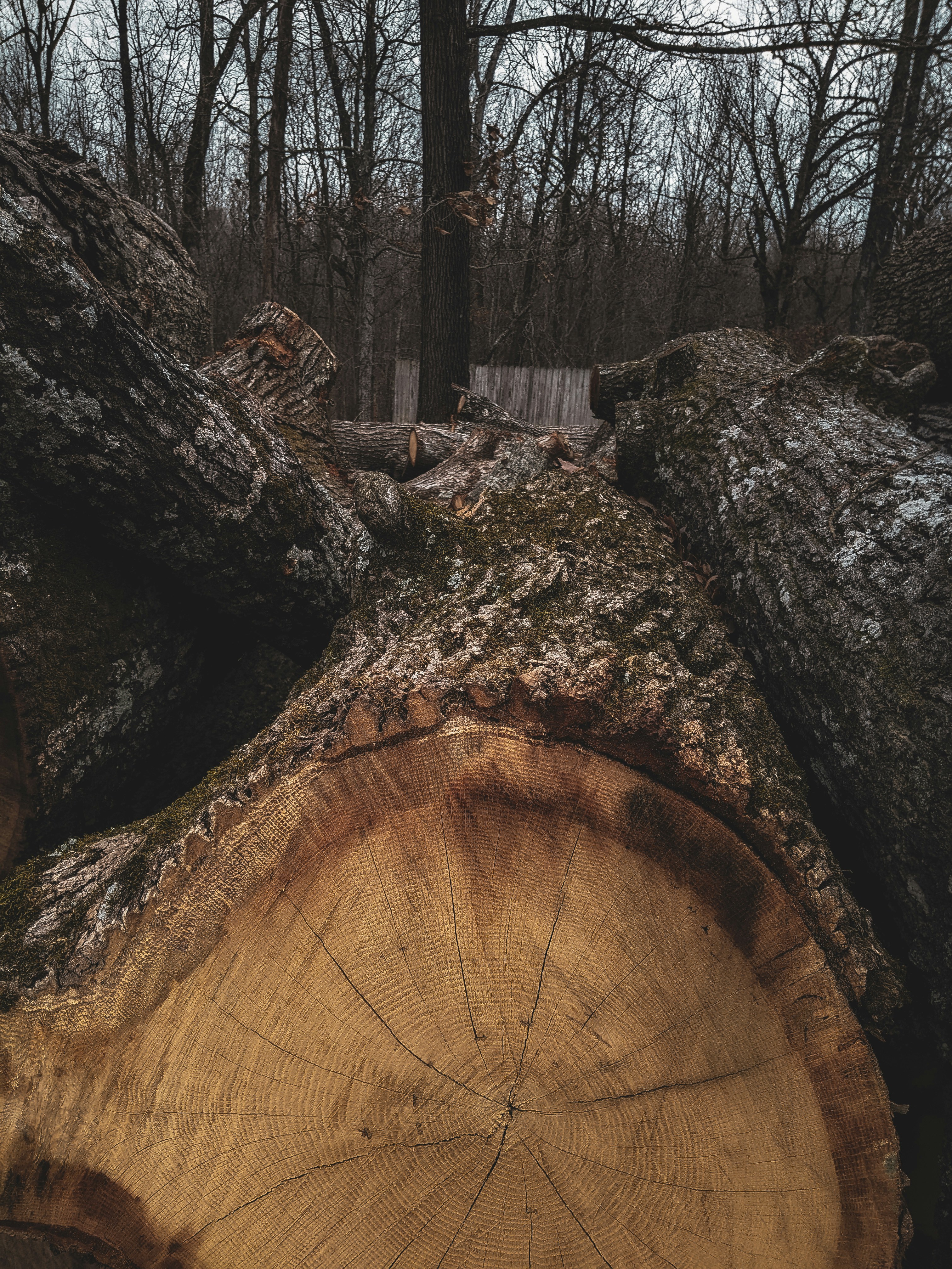 AirFrame AR Glasses (Developer Edition) — A Designer’s Hands-On Review for 2026 WebAR Workflows