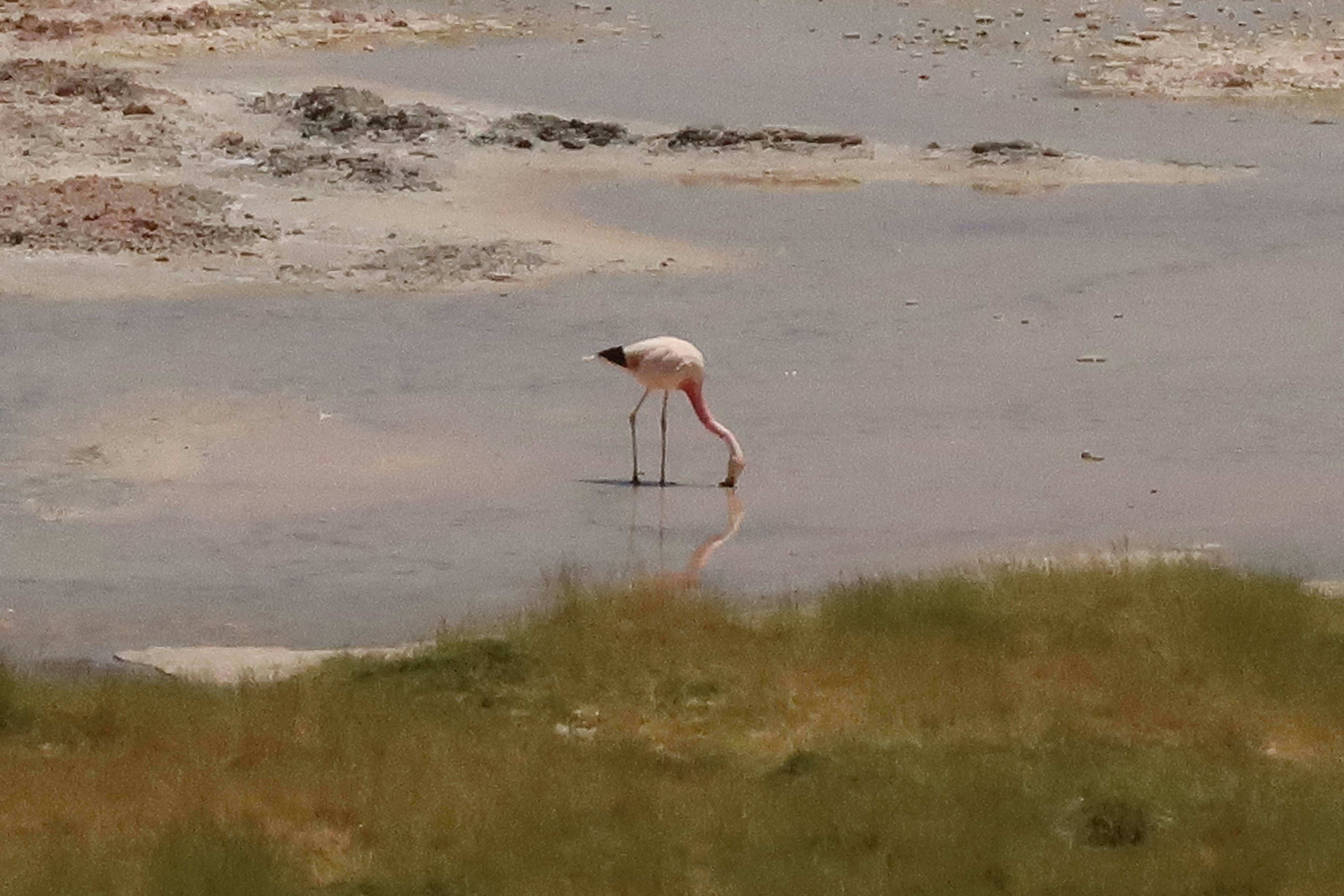 Temperature Gradient Management (image credits: unsplash)