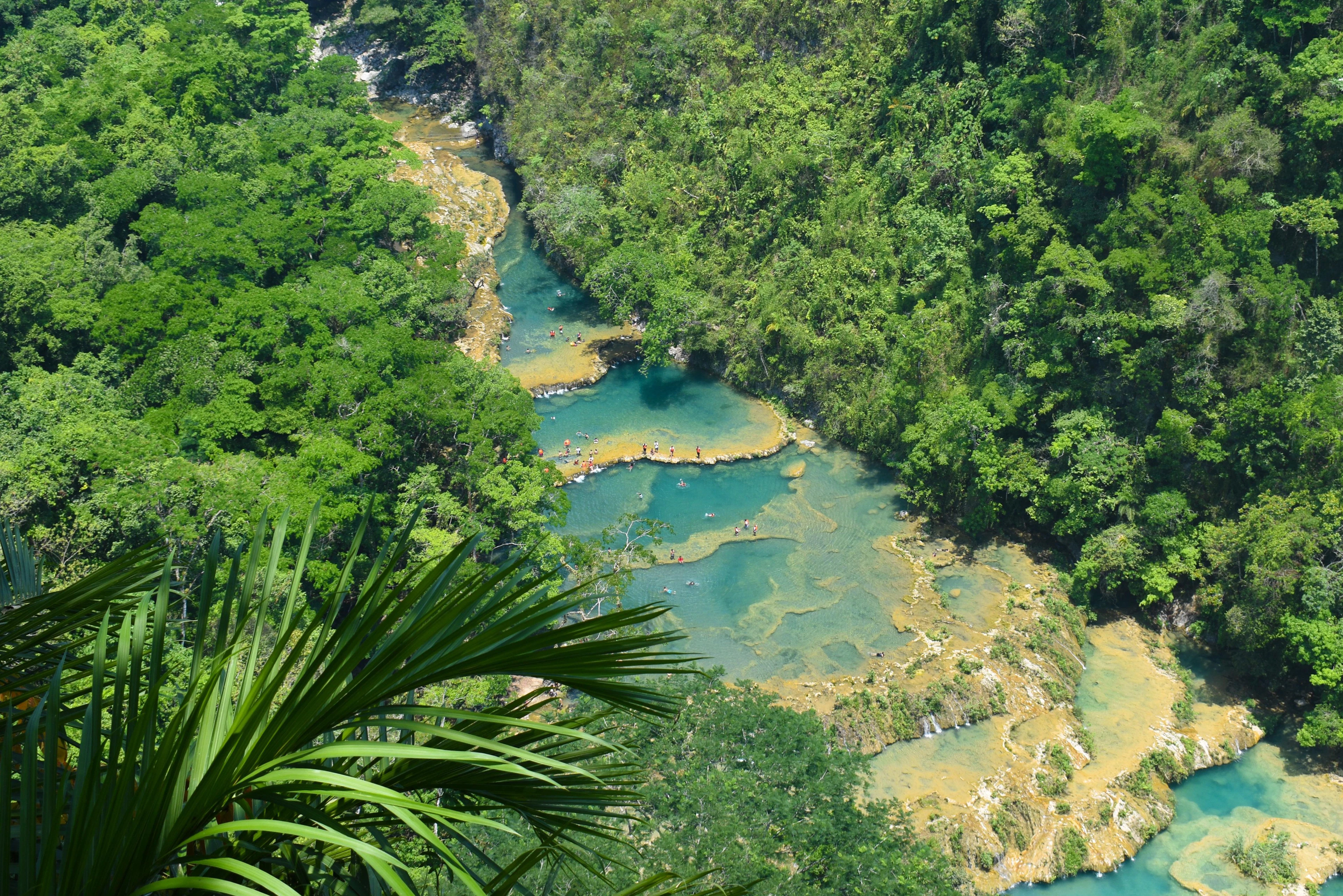 Semuc Champey turkio spalvos baseinų laiptai miškingame Kachabono upės slėnyje iš viršaus