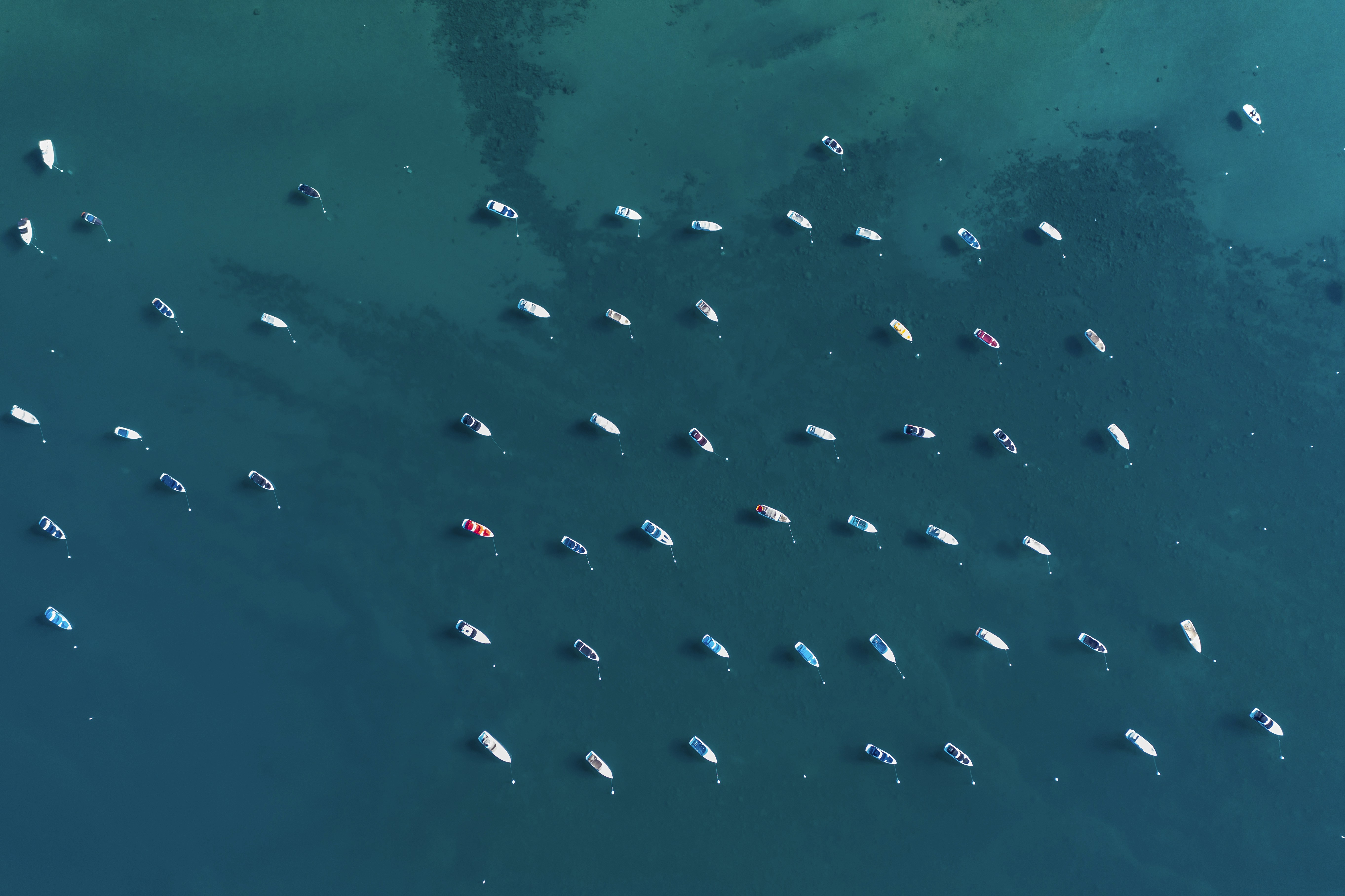 Photo by leo_visions_