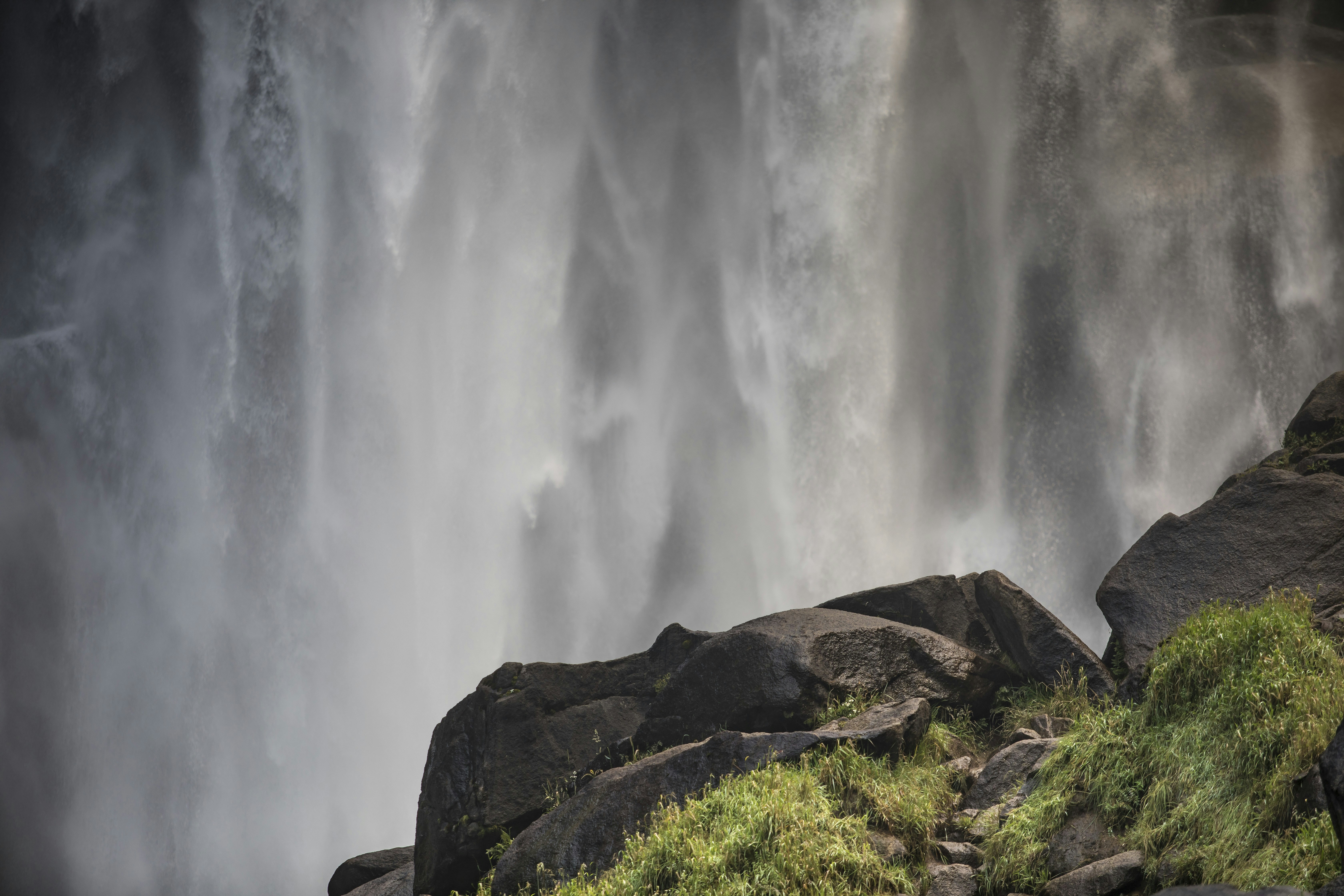 Photo by leo_visions_