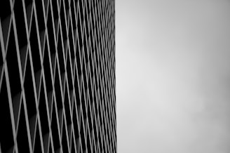 a black and white photo of a tall building