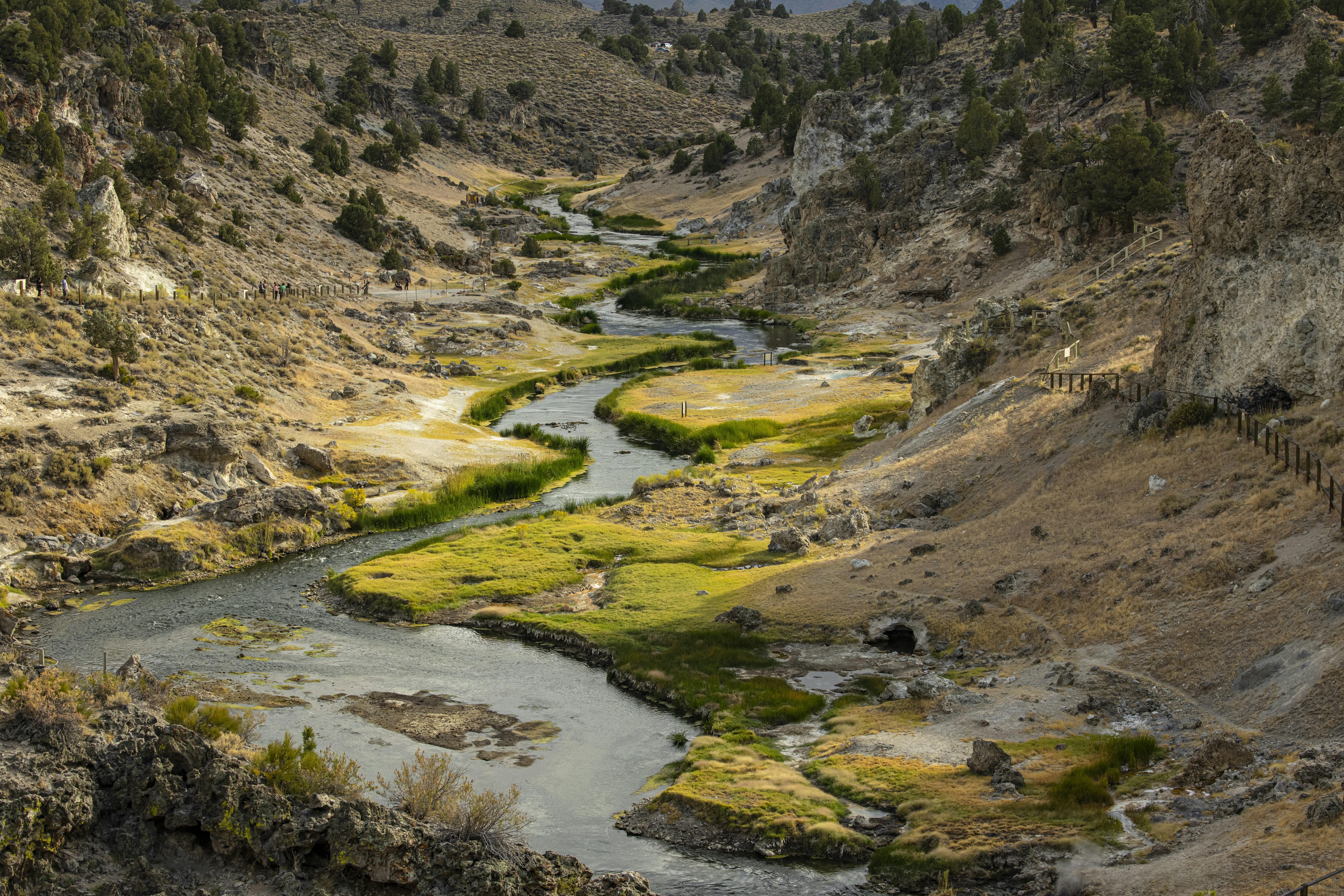 Photo by leo_visions_