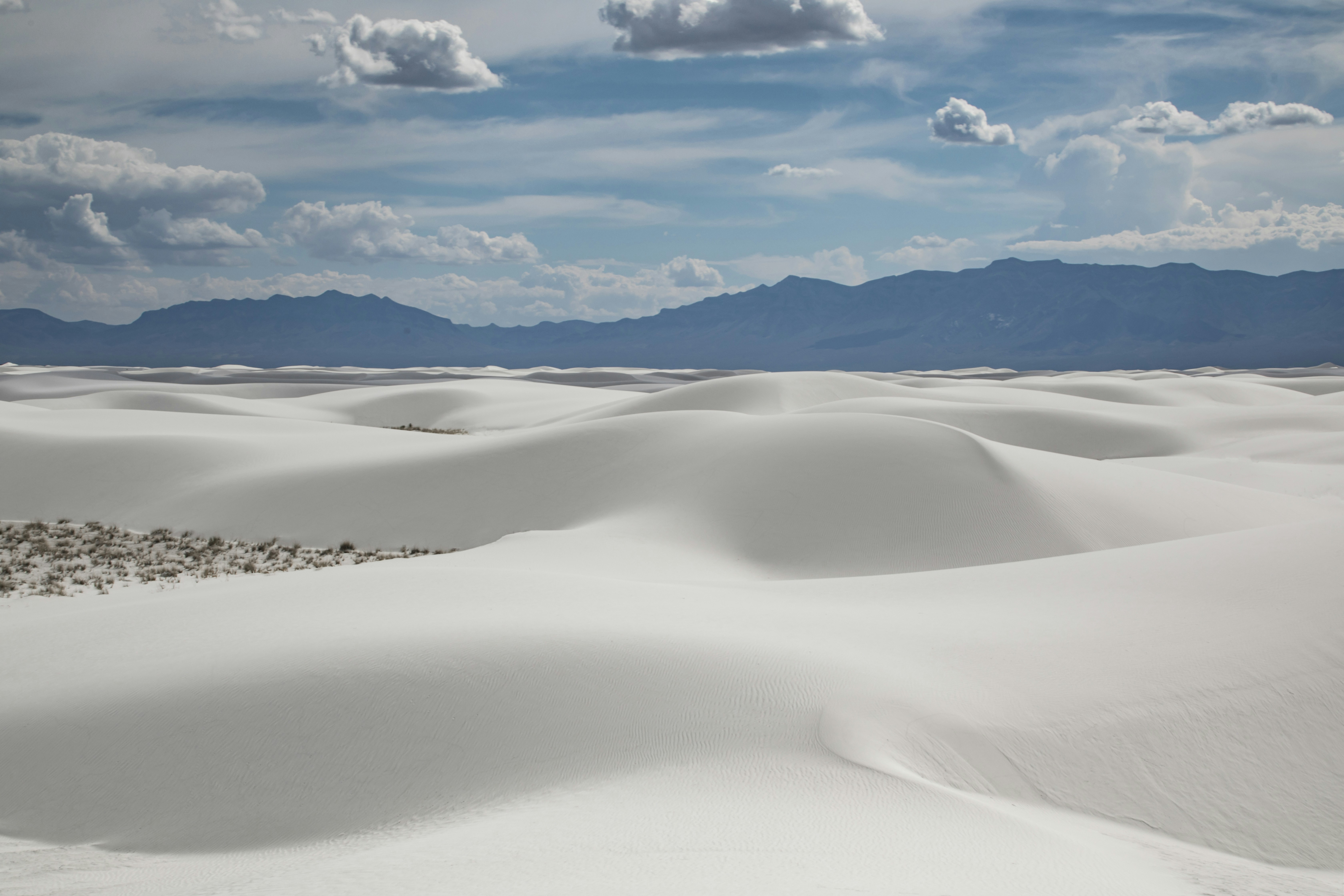 Photo by leo_visions_