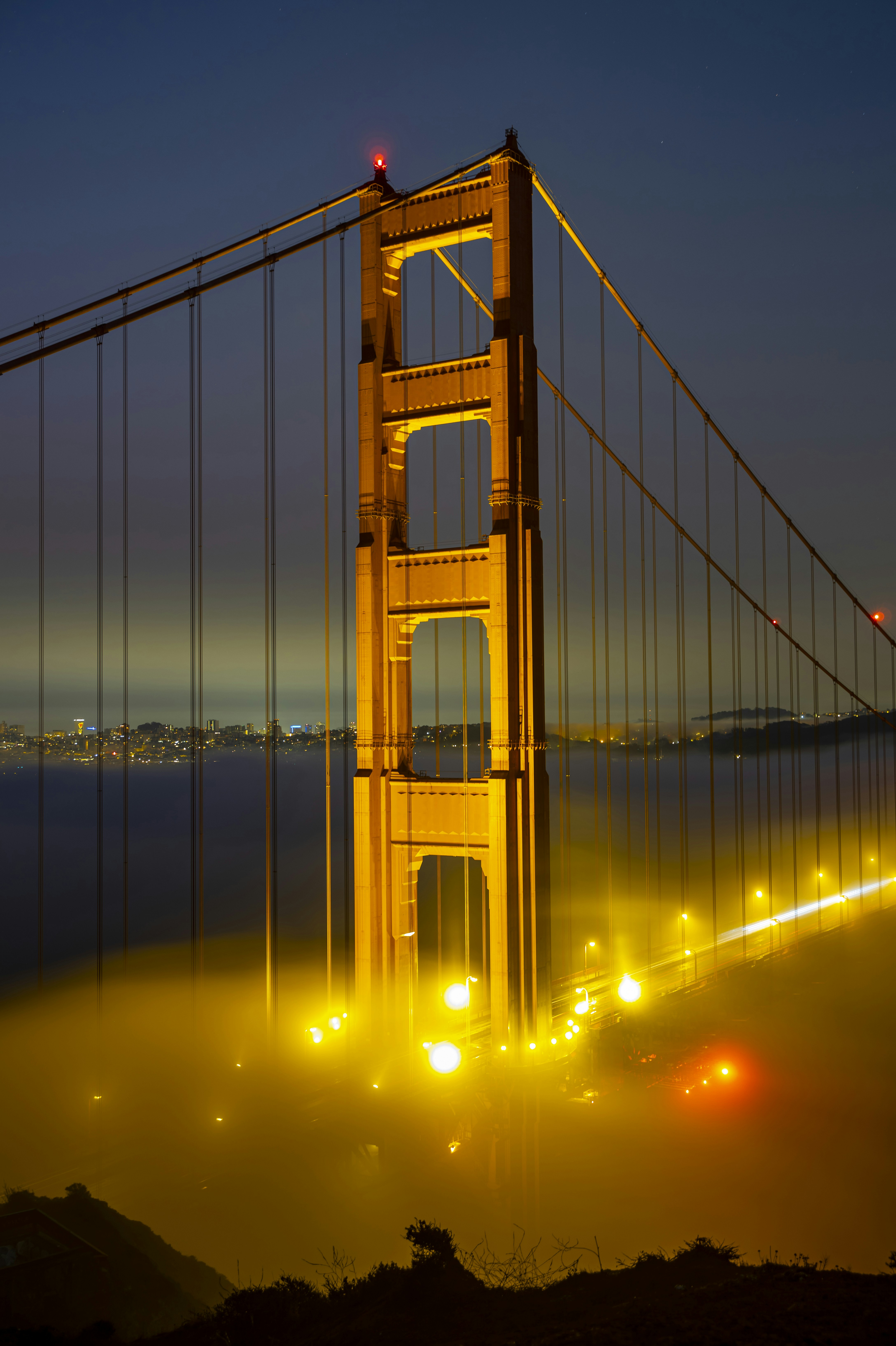 Photo by leo_visions_