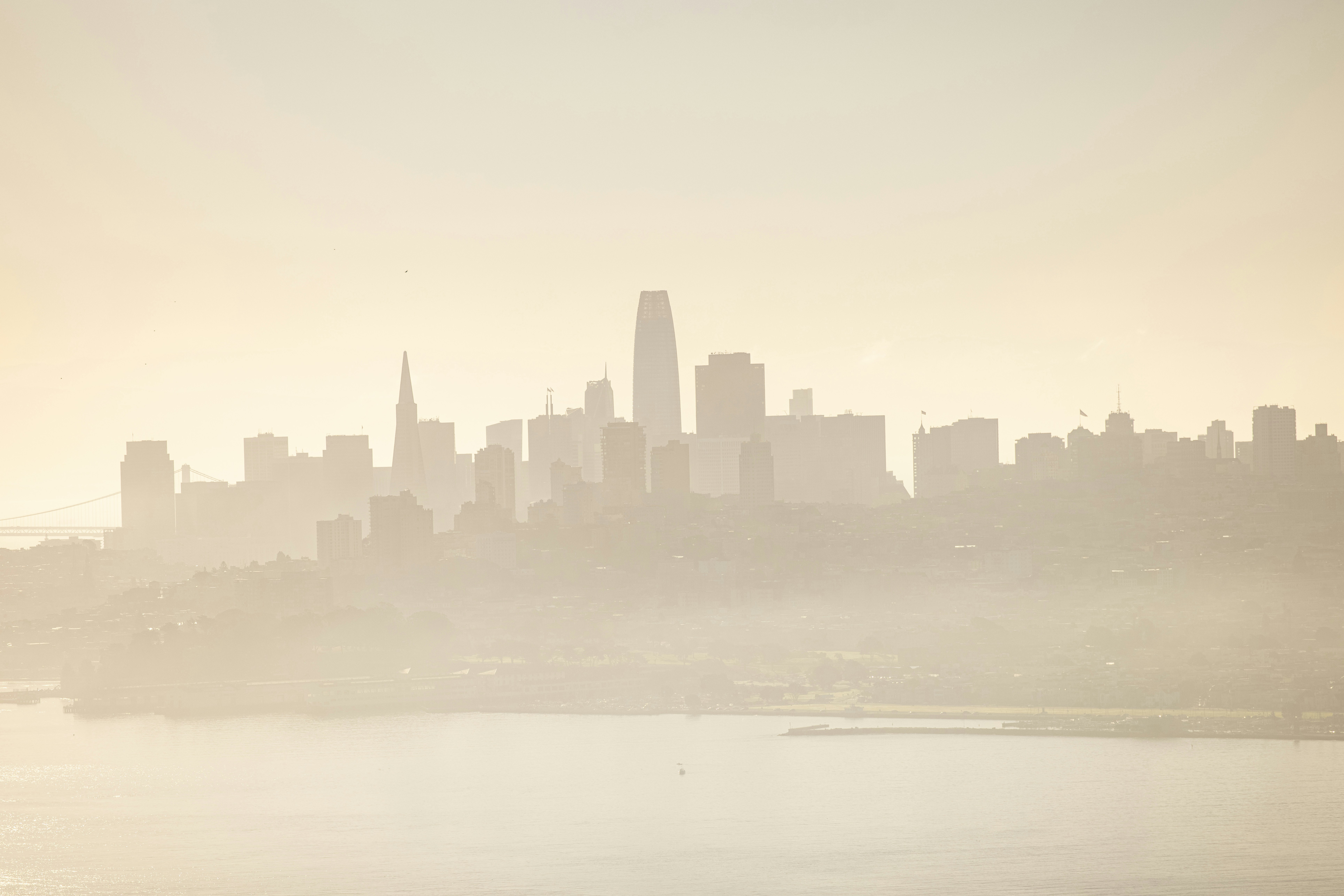 Photo by leo_visions_