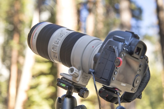 A professional camera with a large telephoto lens is mounted on a sturdy tripod in an outdoor setting. The lens has a white body with multiple switches and the camera body is black with visible buttons and a screen. The background is a soft blur of greenery and tree trunks.