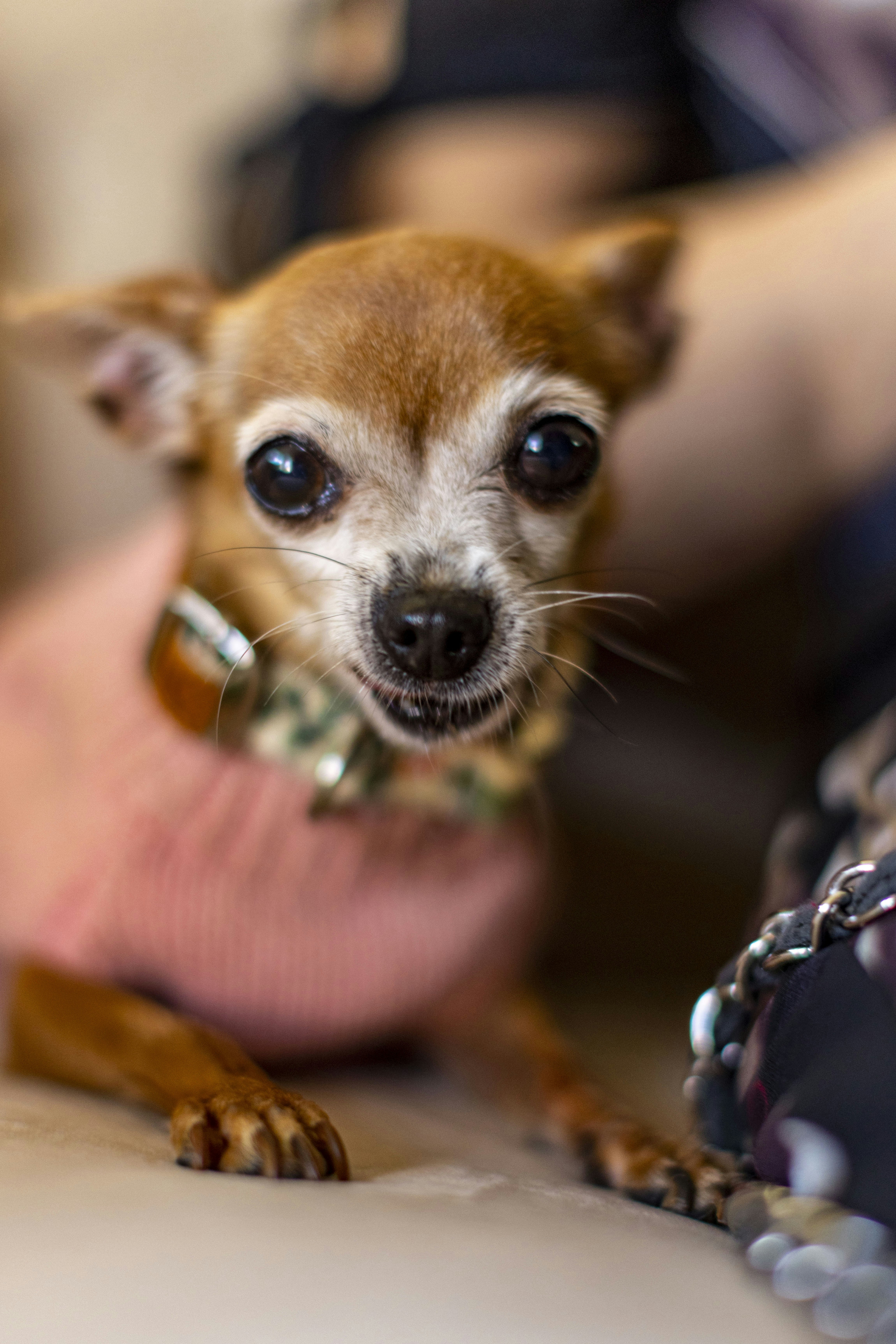 Photo by leo_visions_