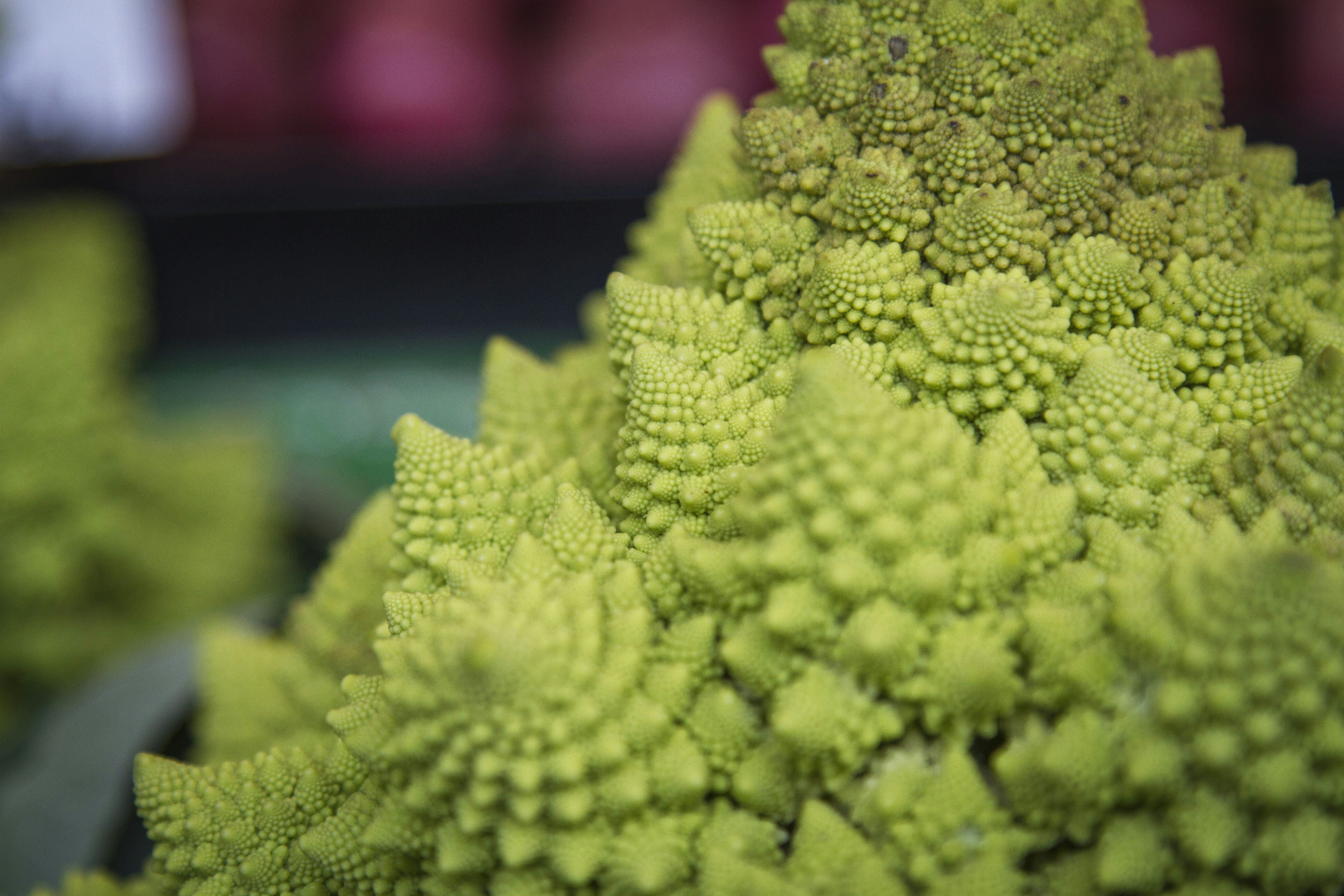 A family gardening together in early spring; EasyHome helps plan meals and track expenses.