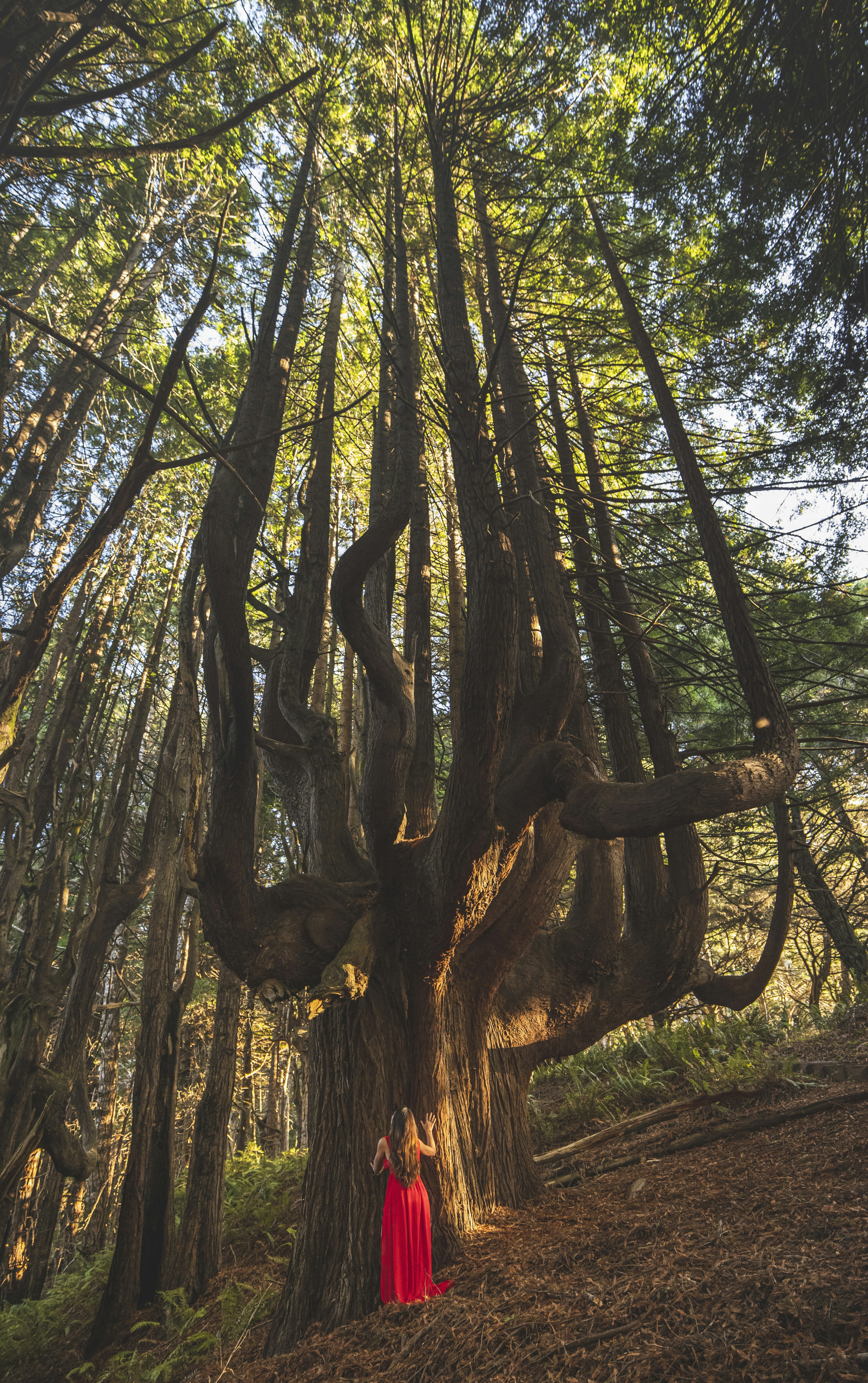 Photo by leo_visions_