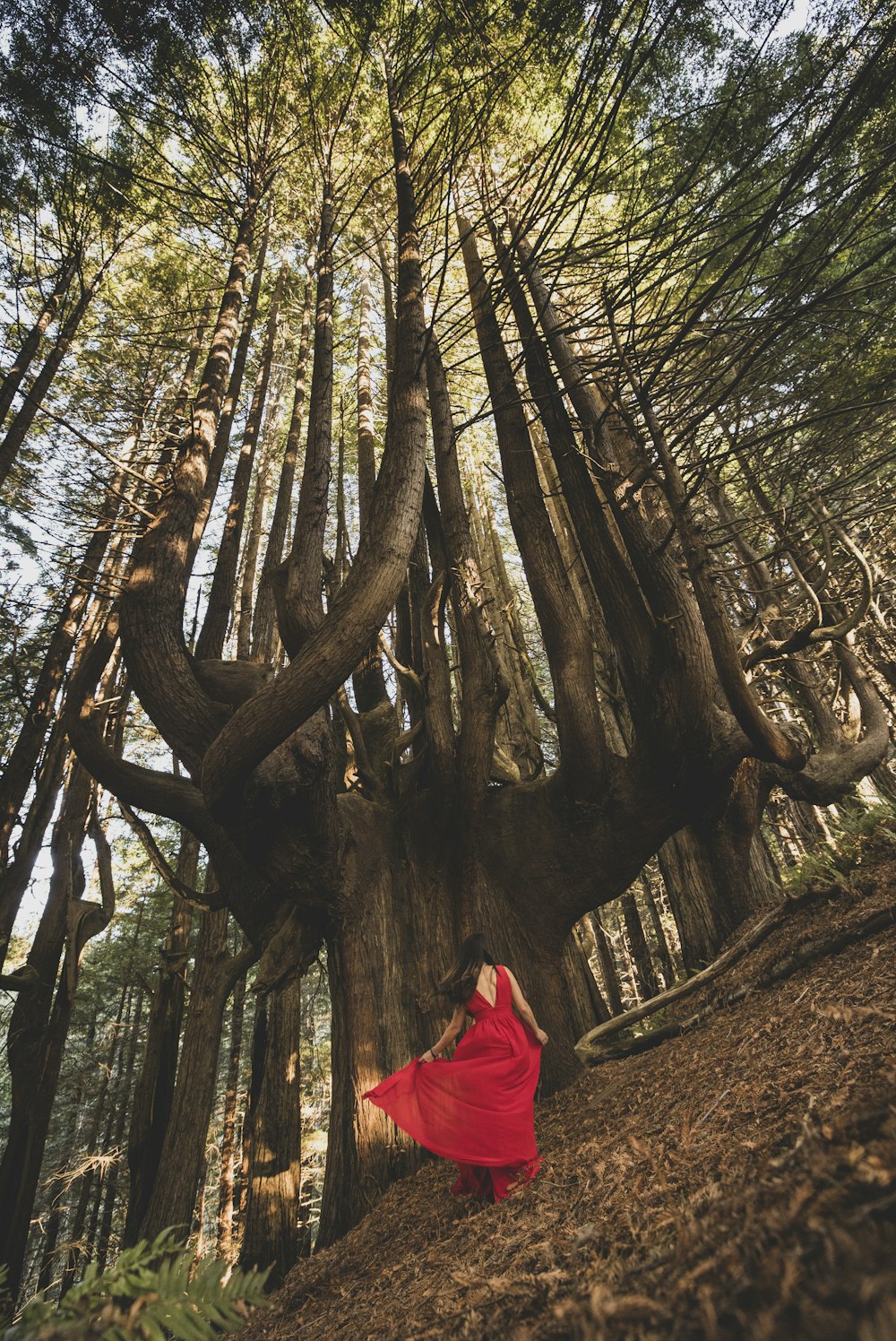 a woman in a red dress standing in a forest