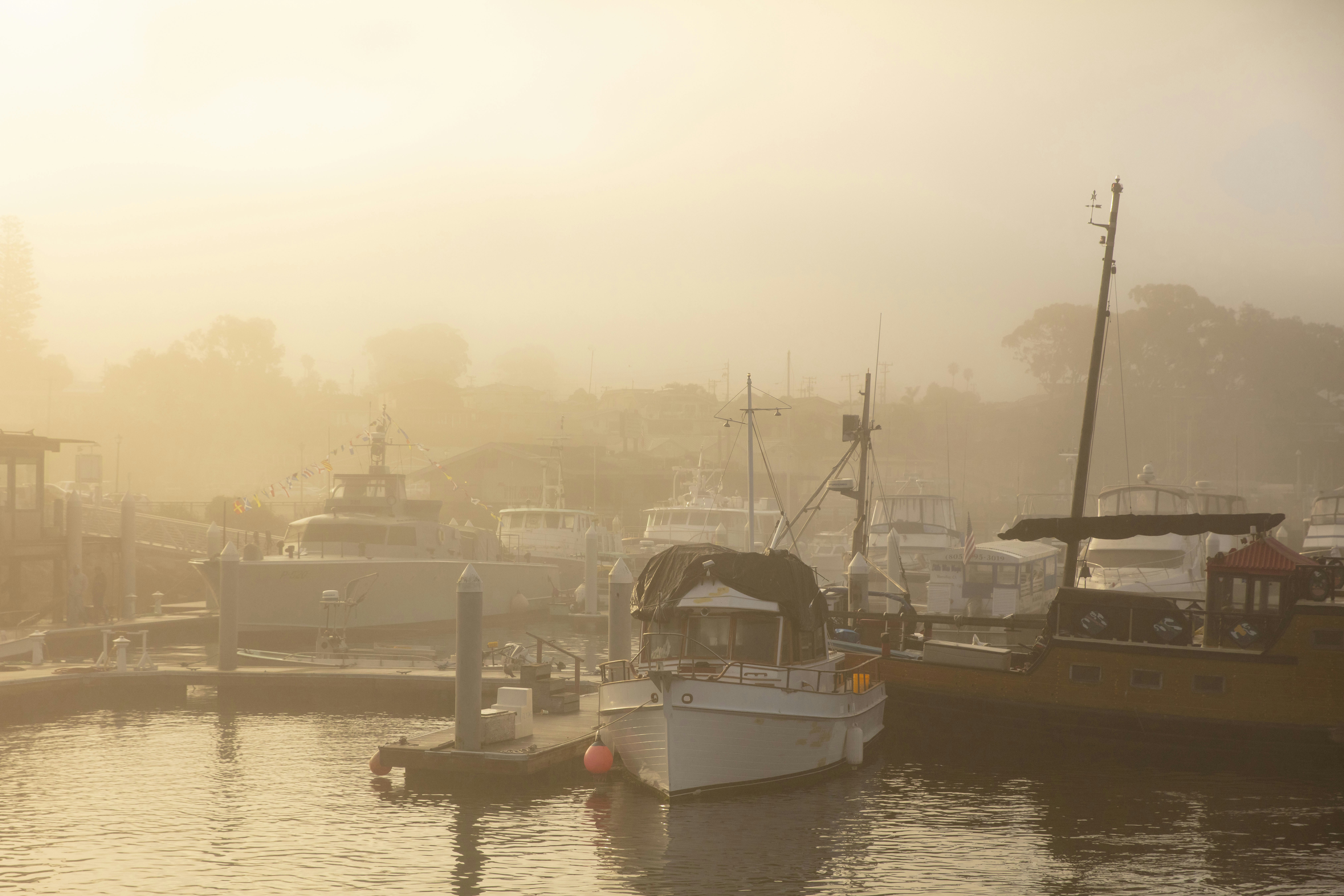 Photo by leo_visions_