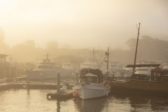 A calm harbor at dawn where sea meets sky under soft light.