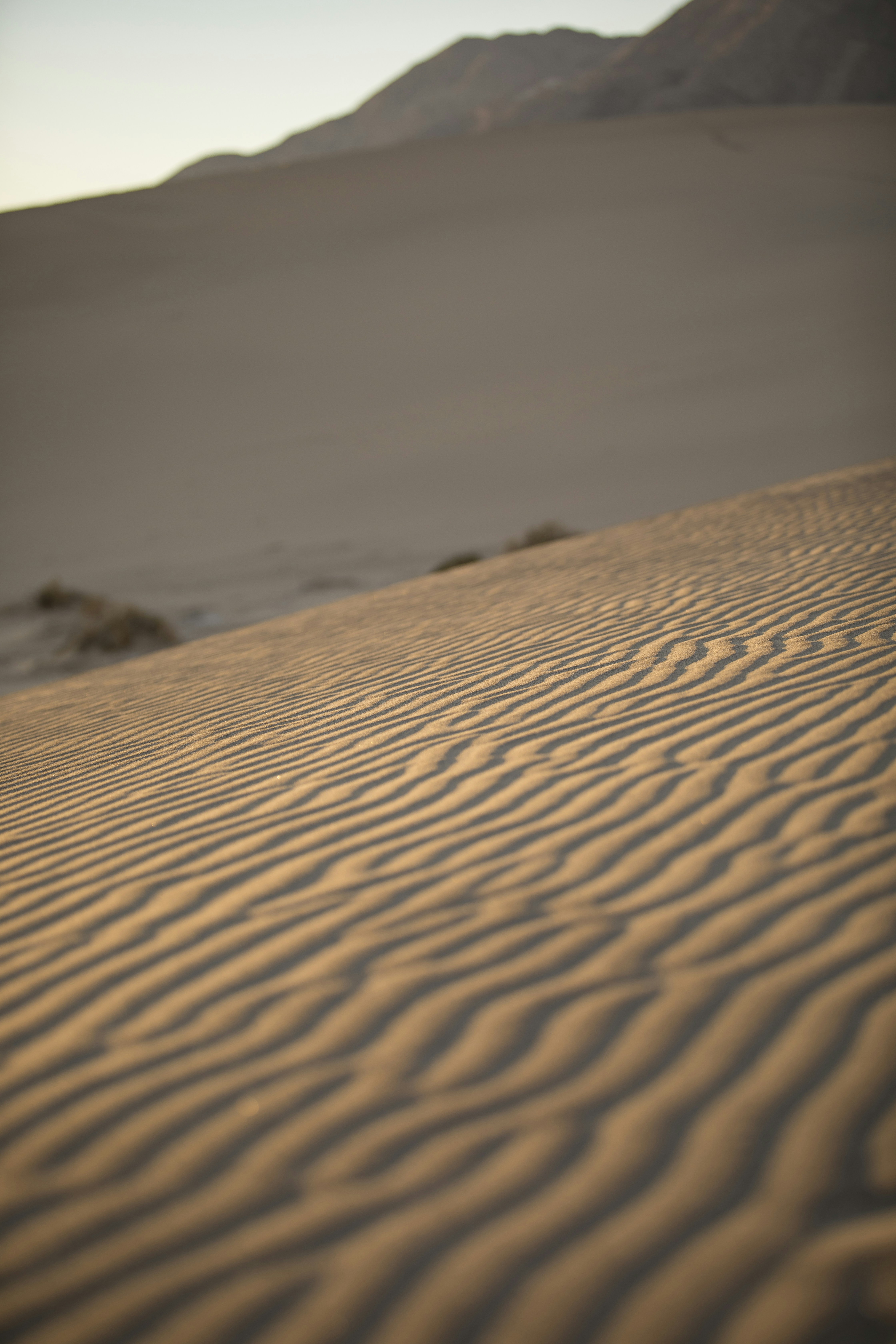 Photo by leo_visions_