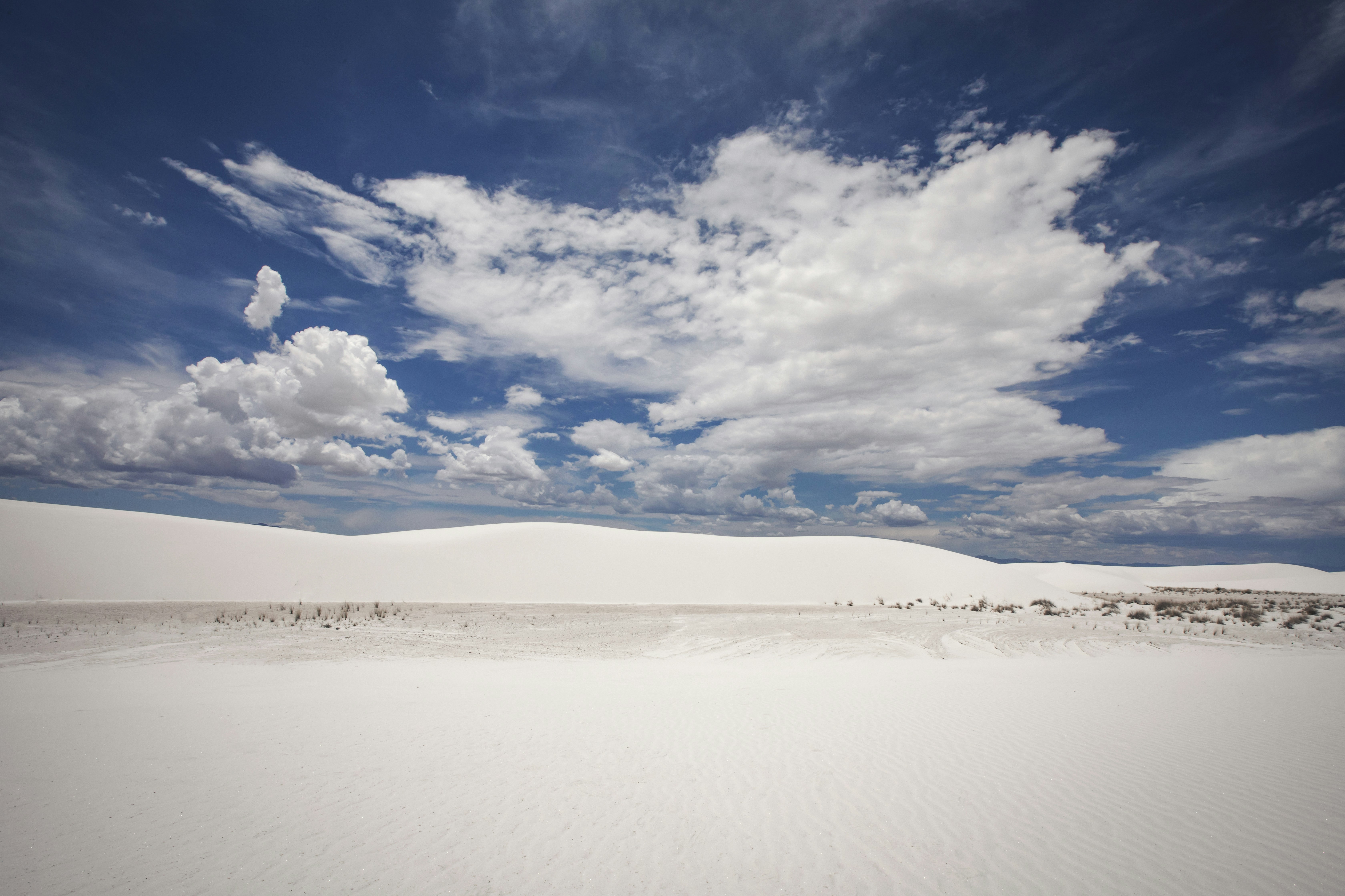 Photo by leo_visions_