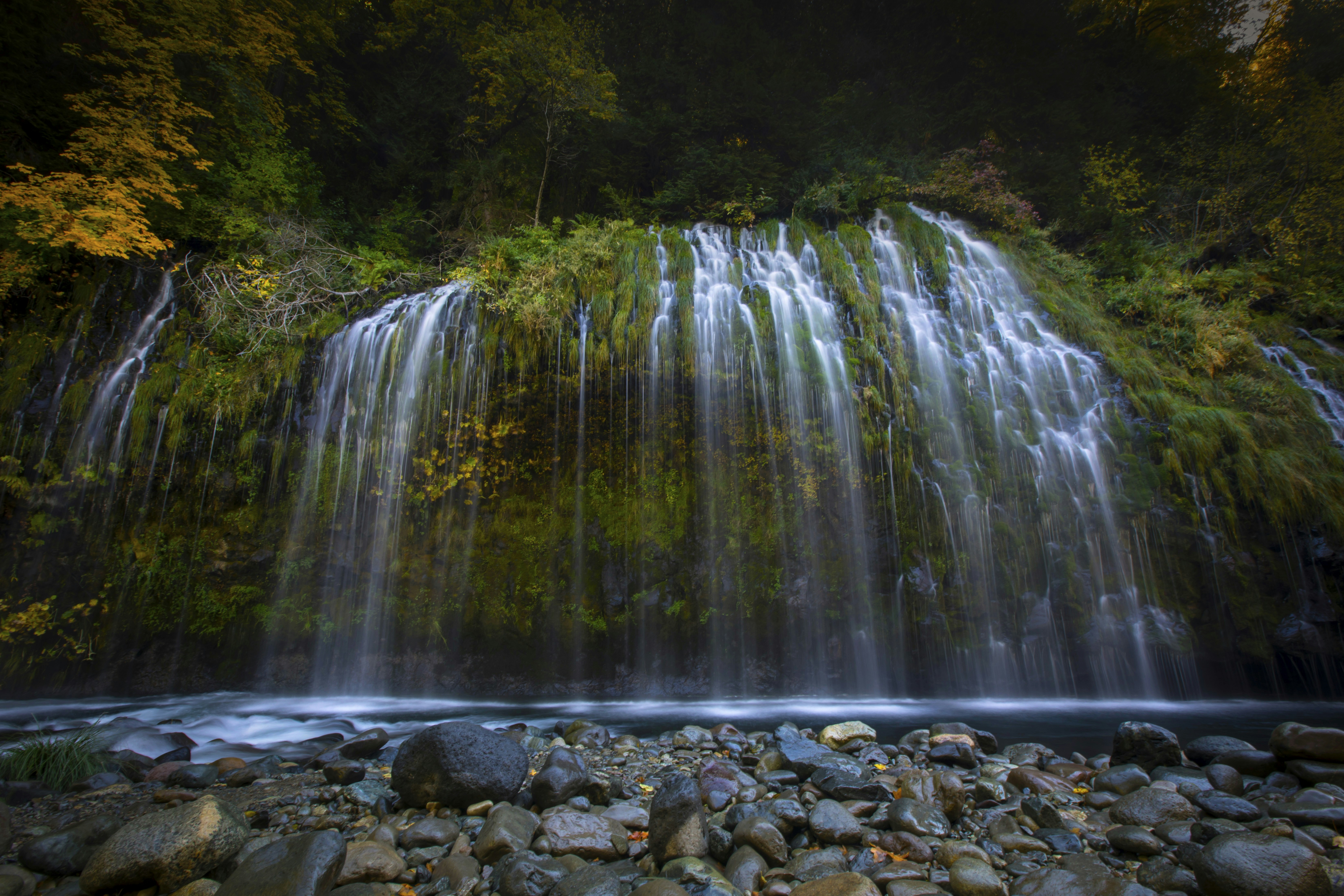 Photo by leo_visions_