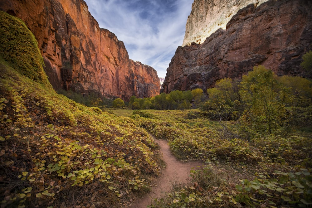 a dirt path in the middle of a canyon