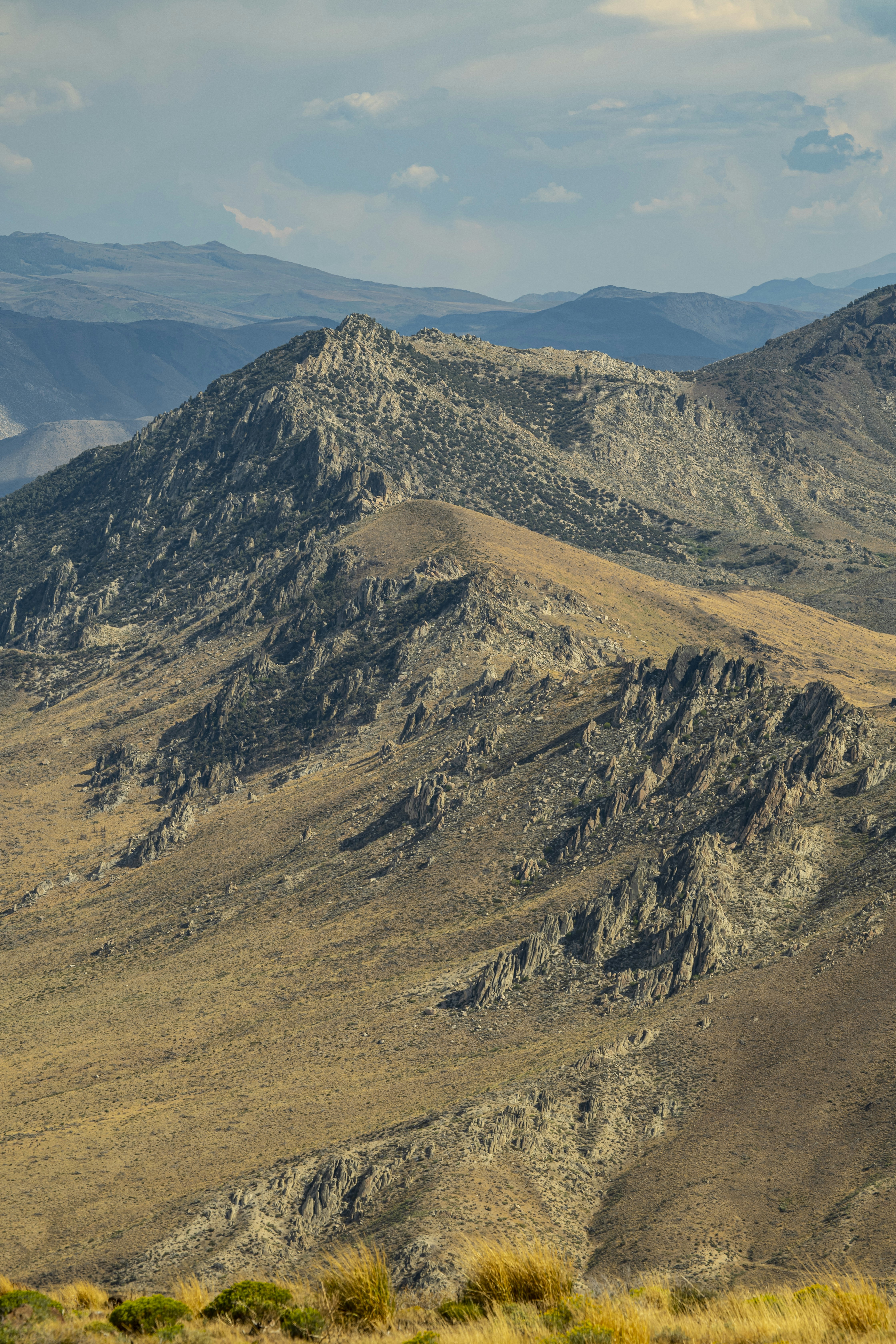 Photo by leo_visions_