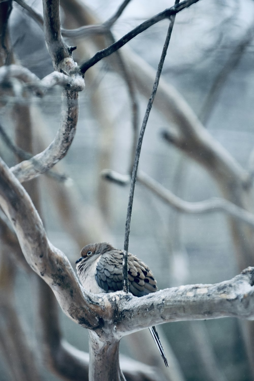 a small bird perched on a tree branch