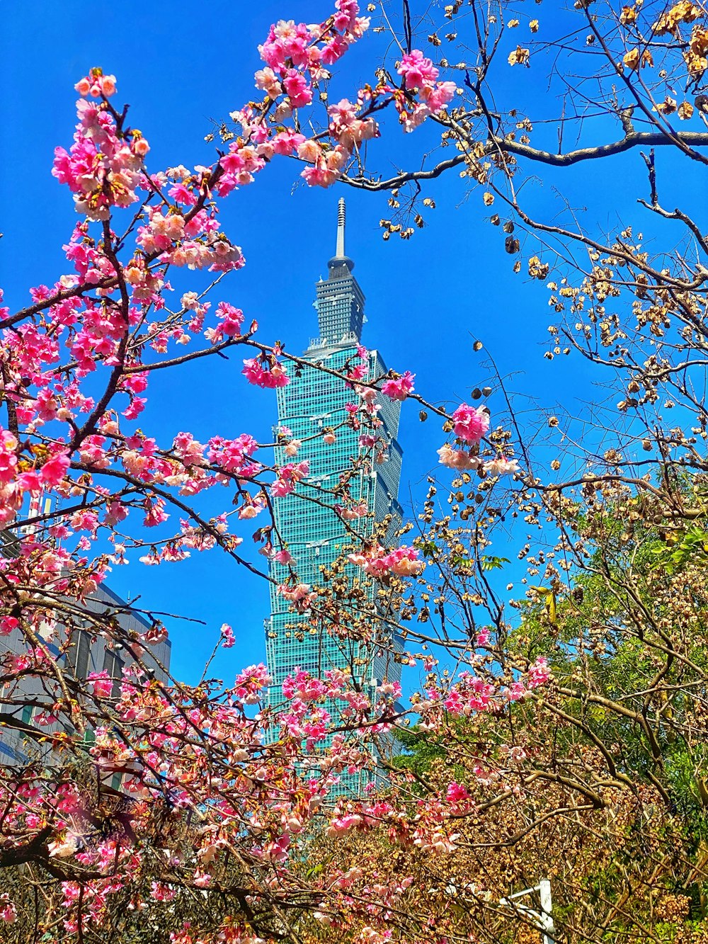 a view of a tall building through the trees