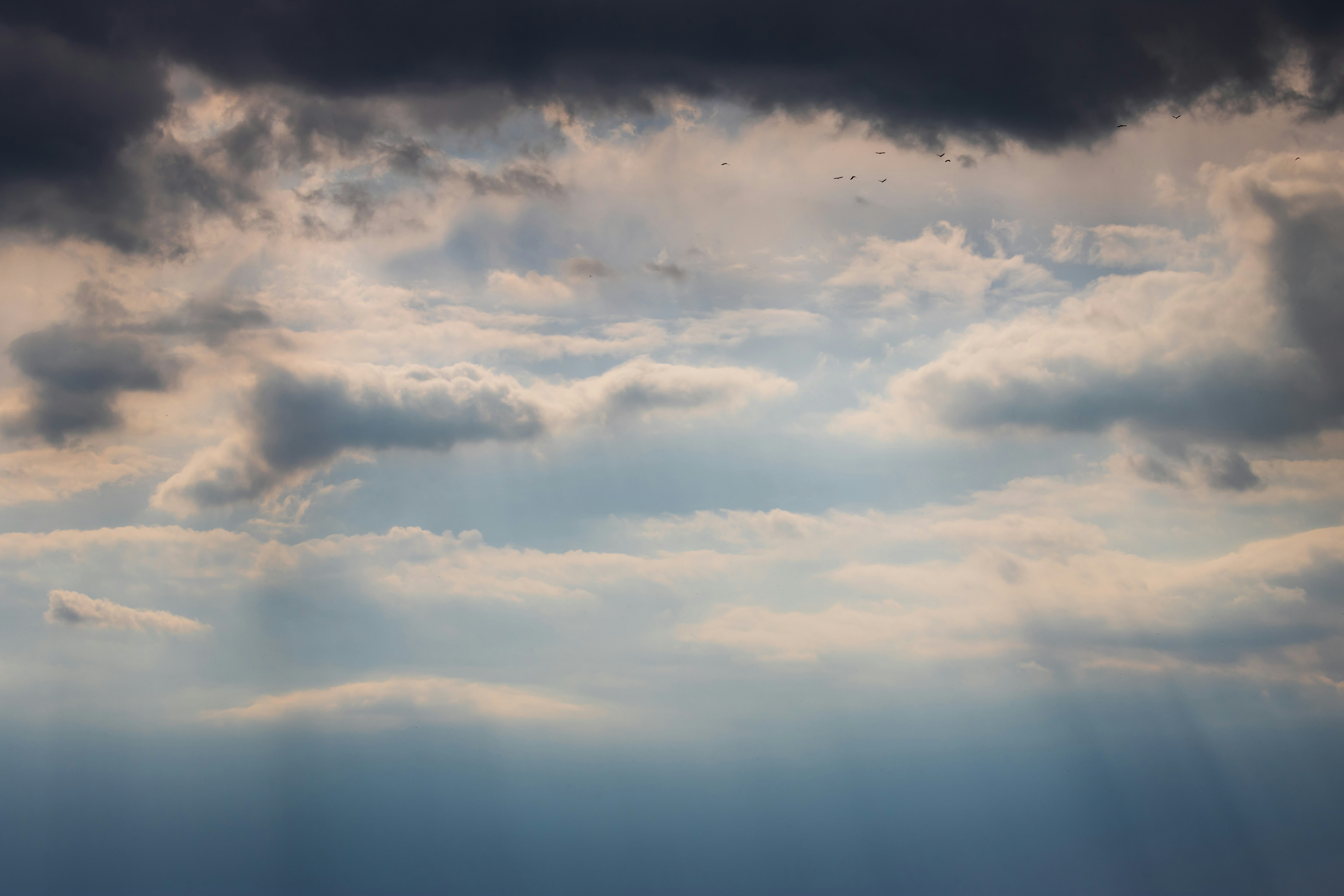 Photo by mechaowlstudios