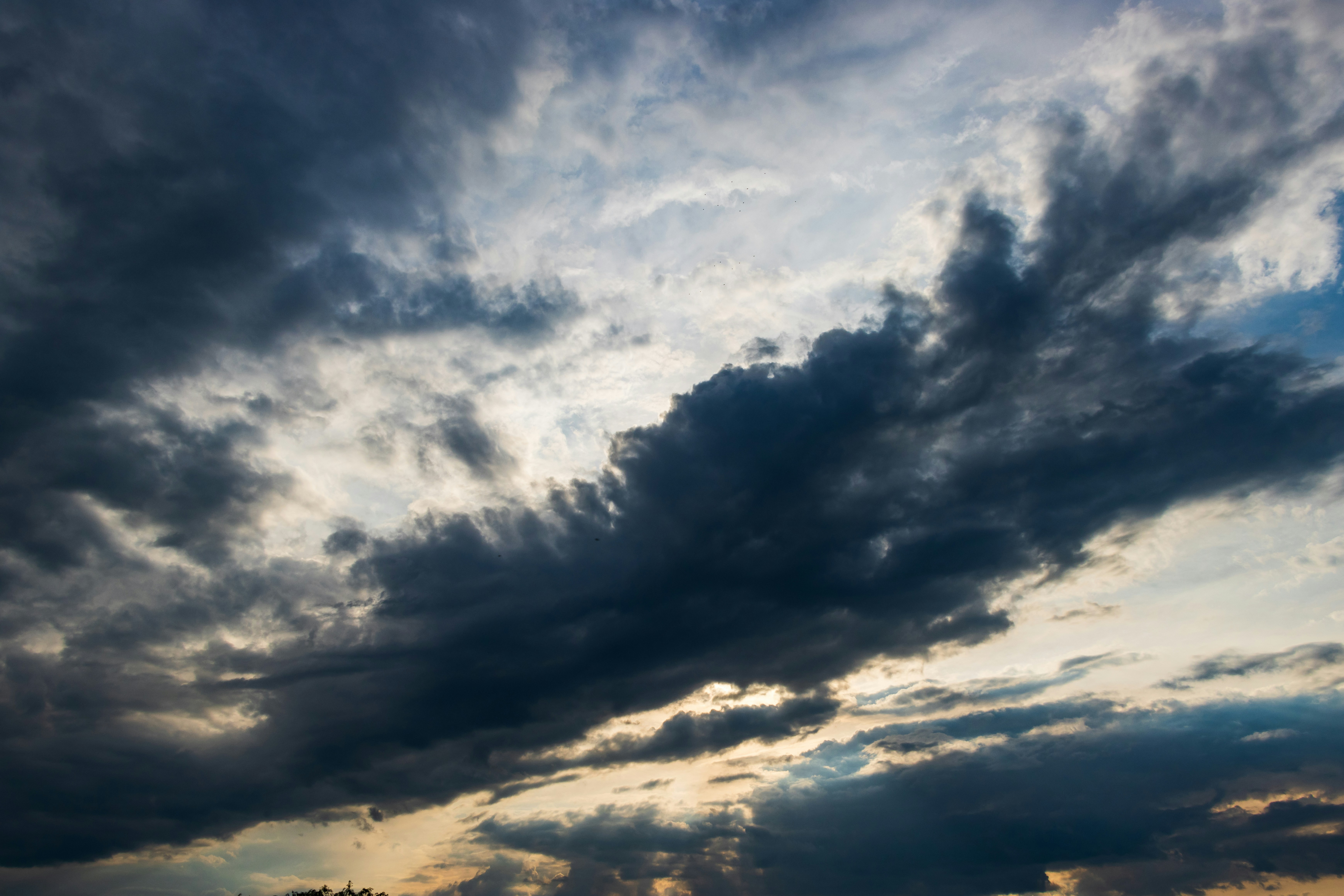 Photo by mechaowlstudios