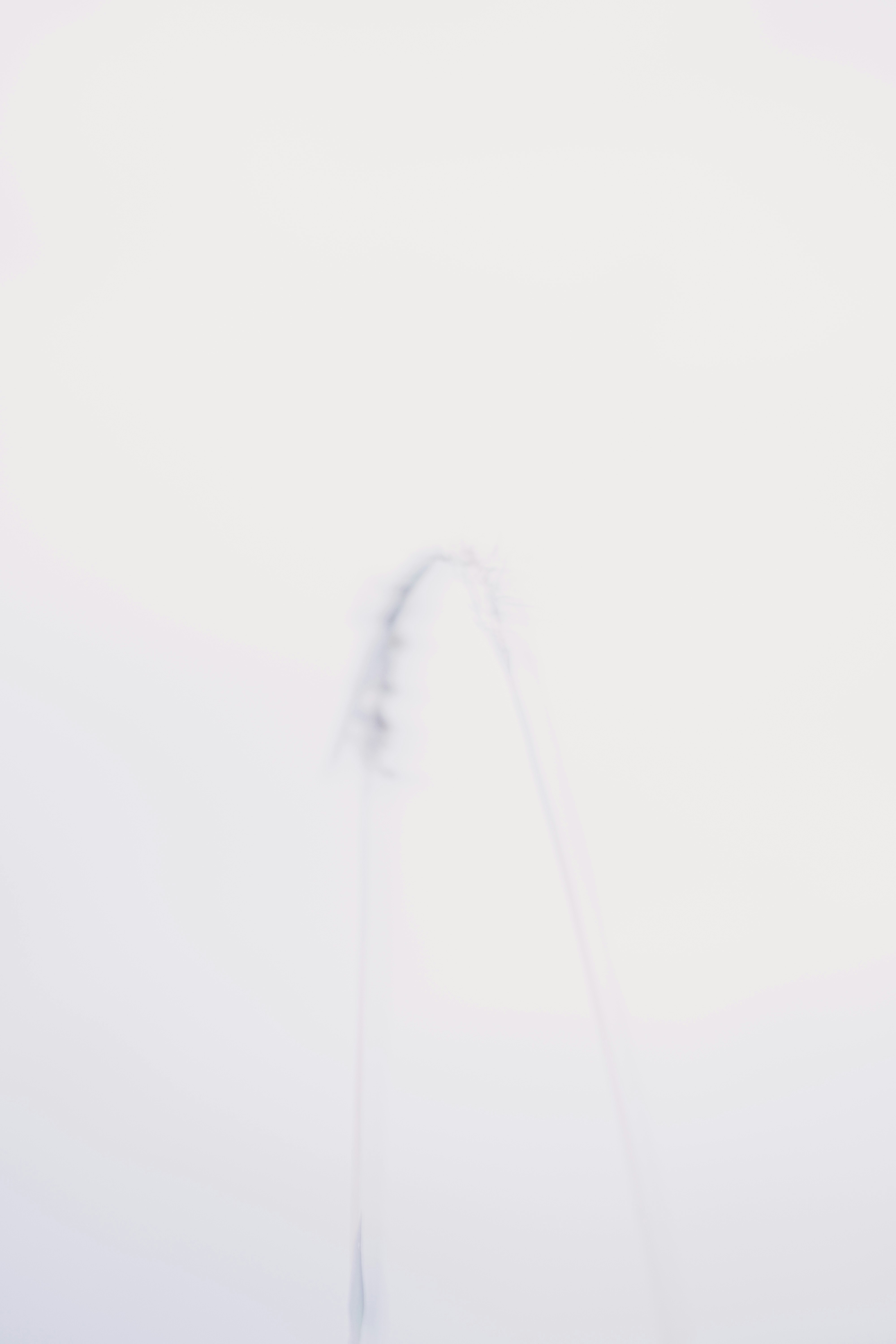 Photo by rizkysabriansyah