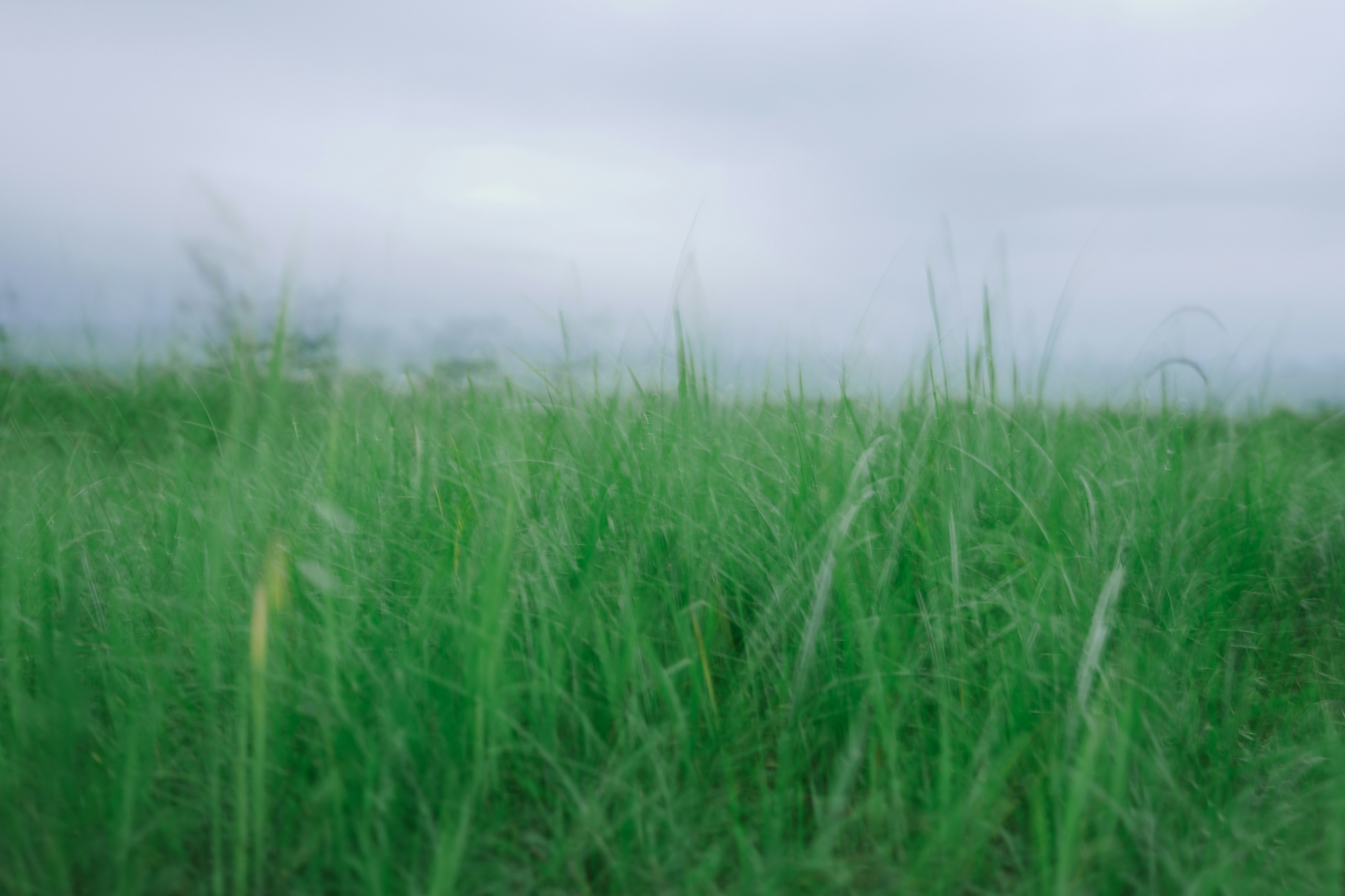 Photo by rizkysabriansyah