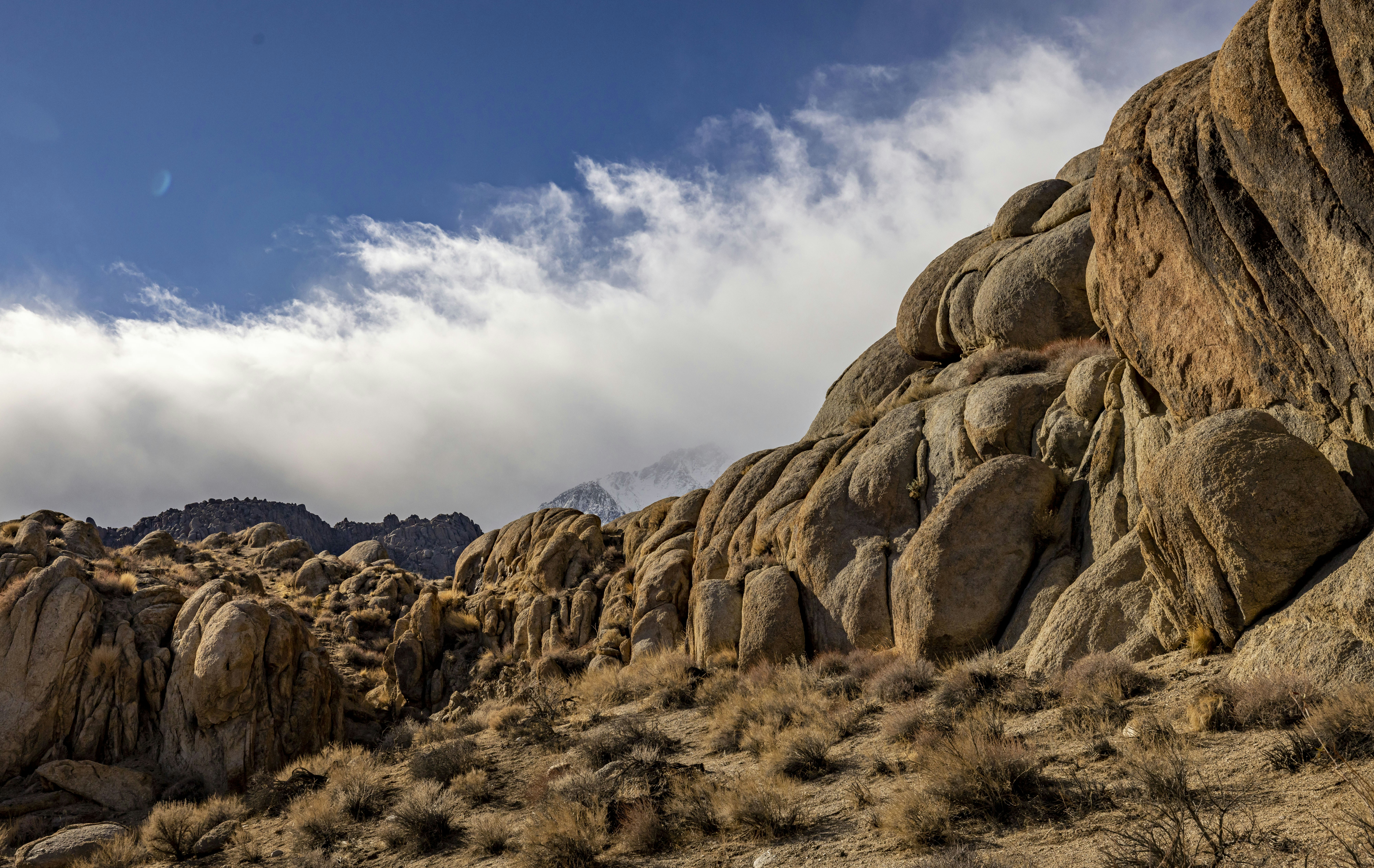 Photo by leo_visions_