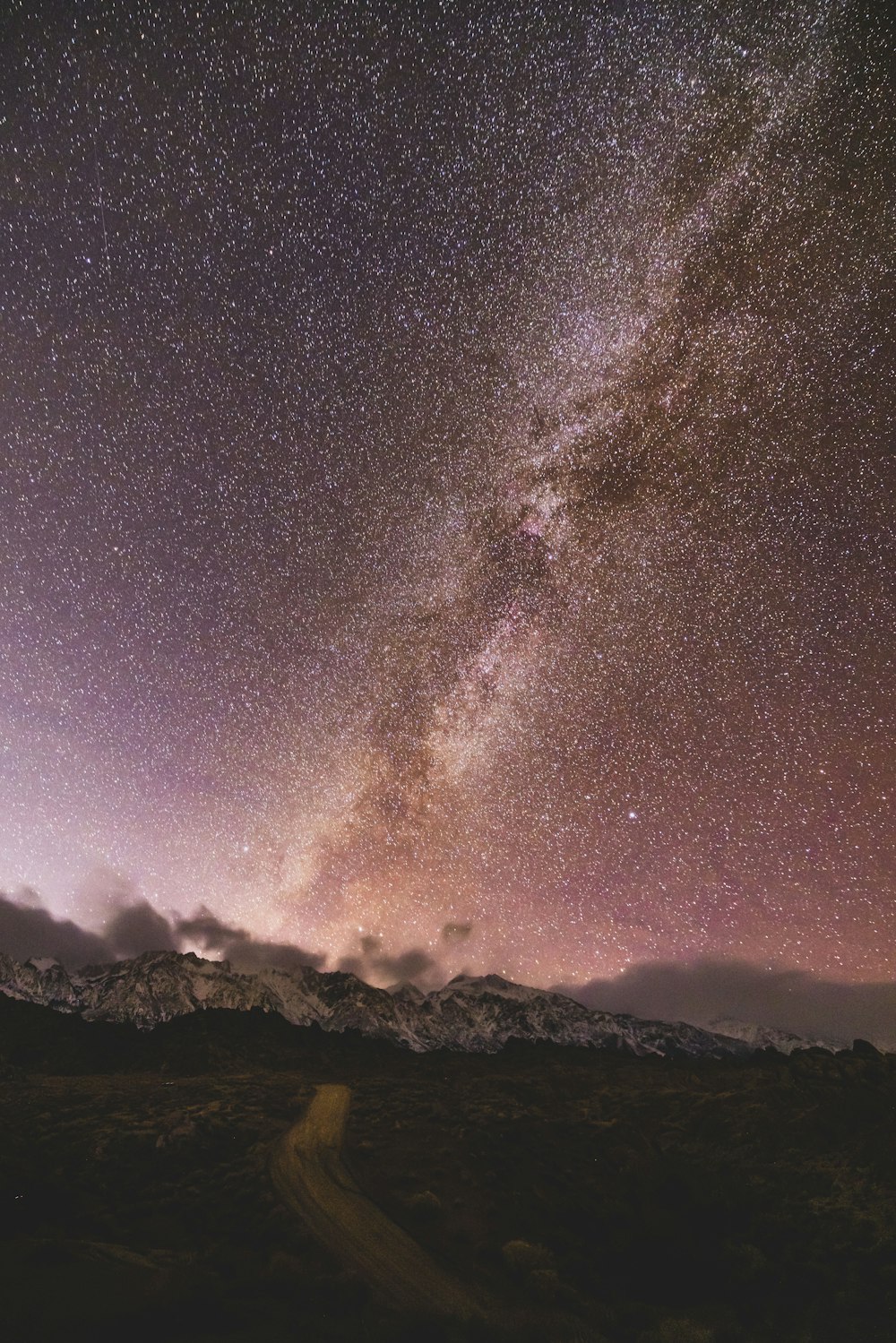 a road going through a field under a night sky filled with stars