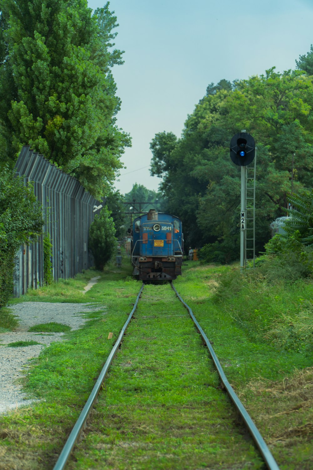 a train traveling down train tracks next to a forest