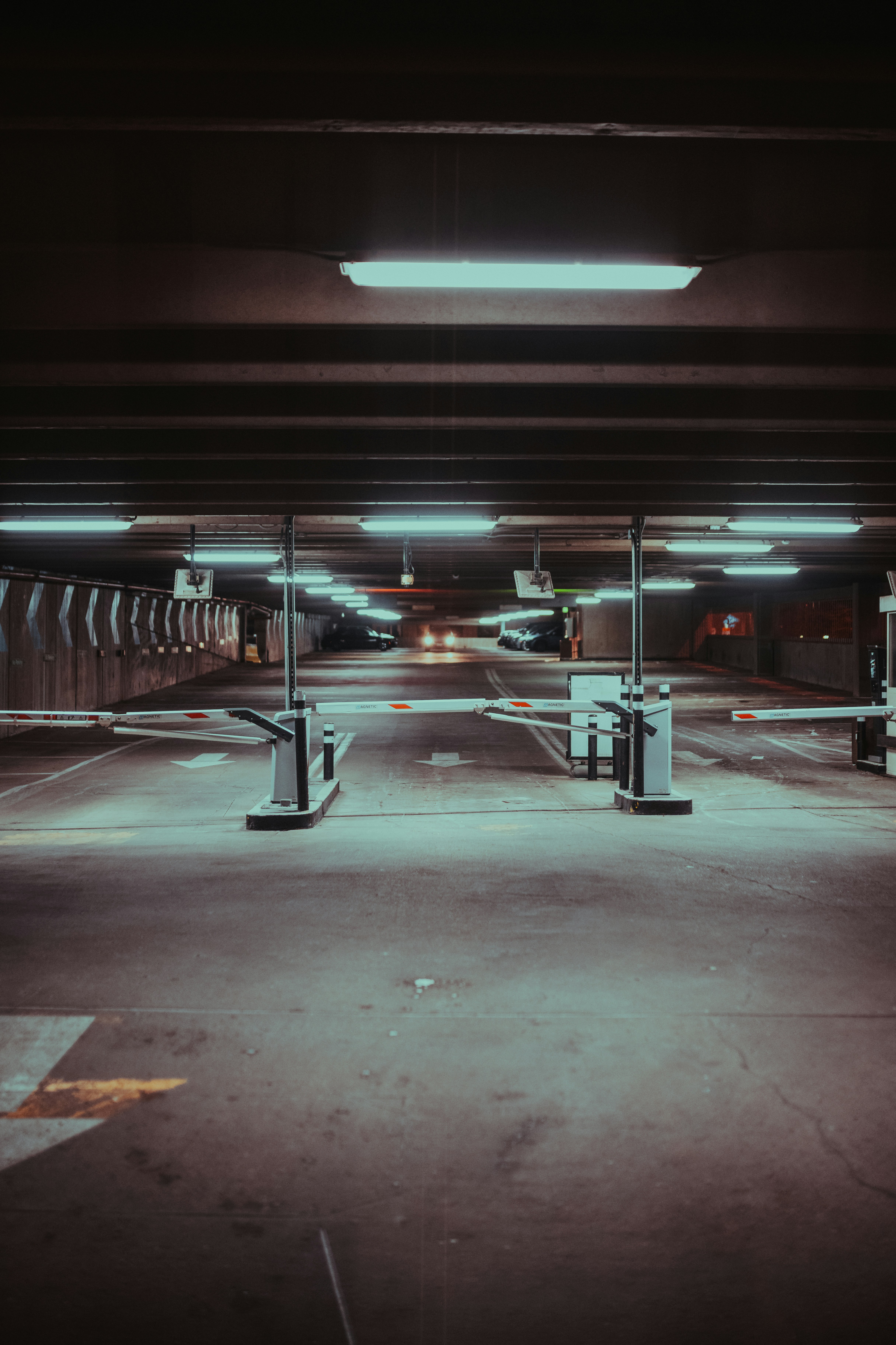 Photo by onthesearchforpineapples