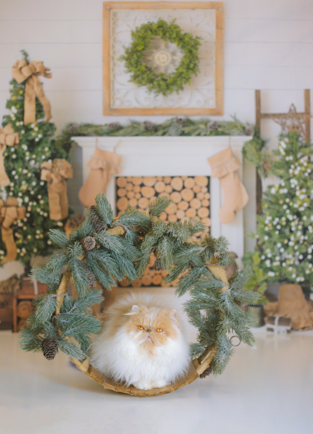 a cat sitting in a basket in front of a fireplace