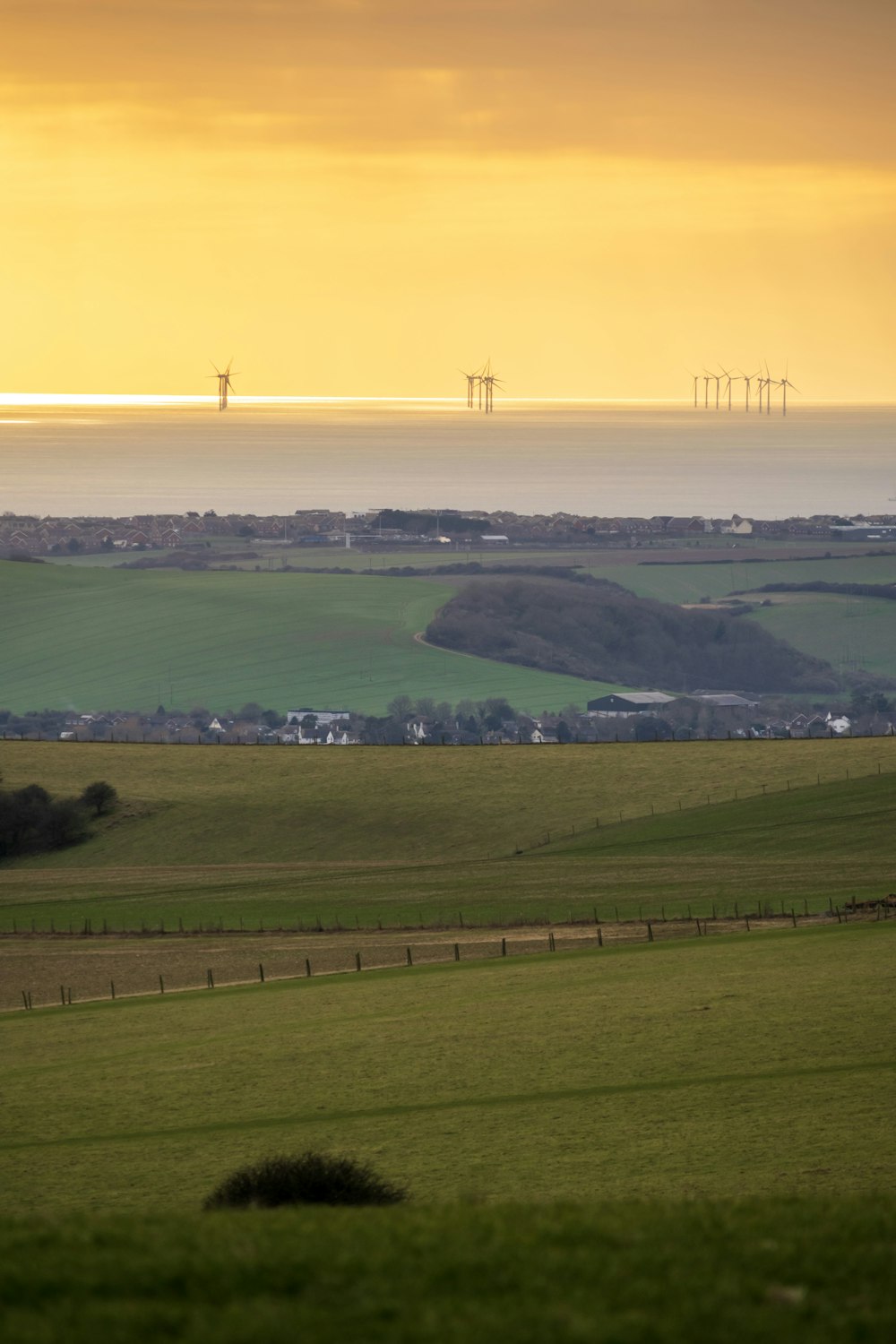 a view of a field with wind mills in the distance