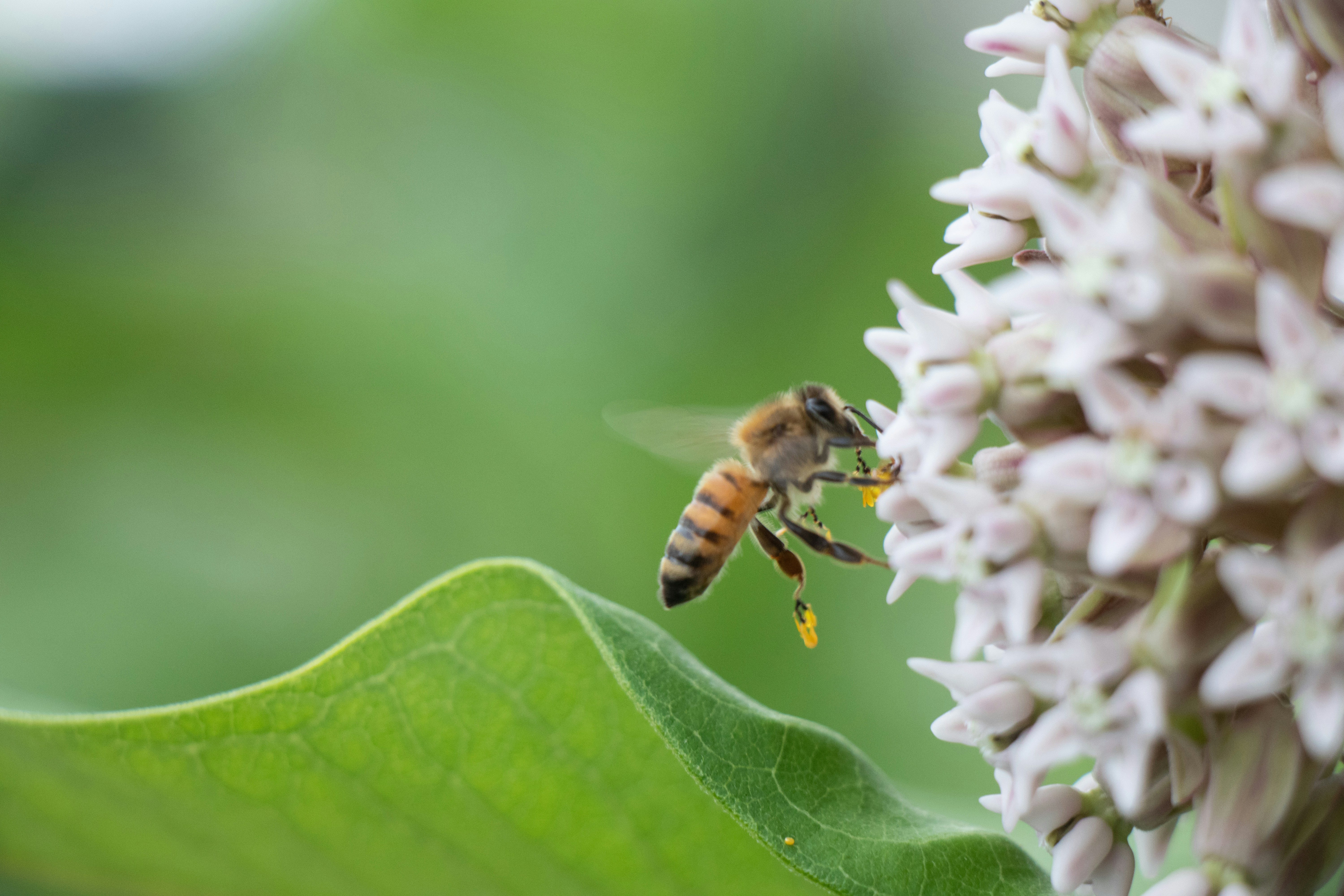 Photo by jacqueline_flock