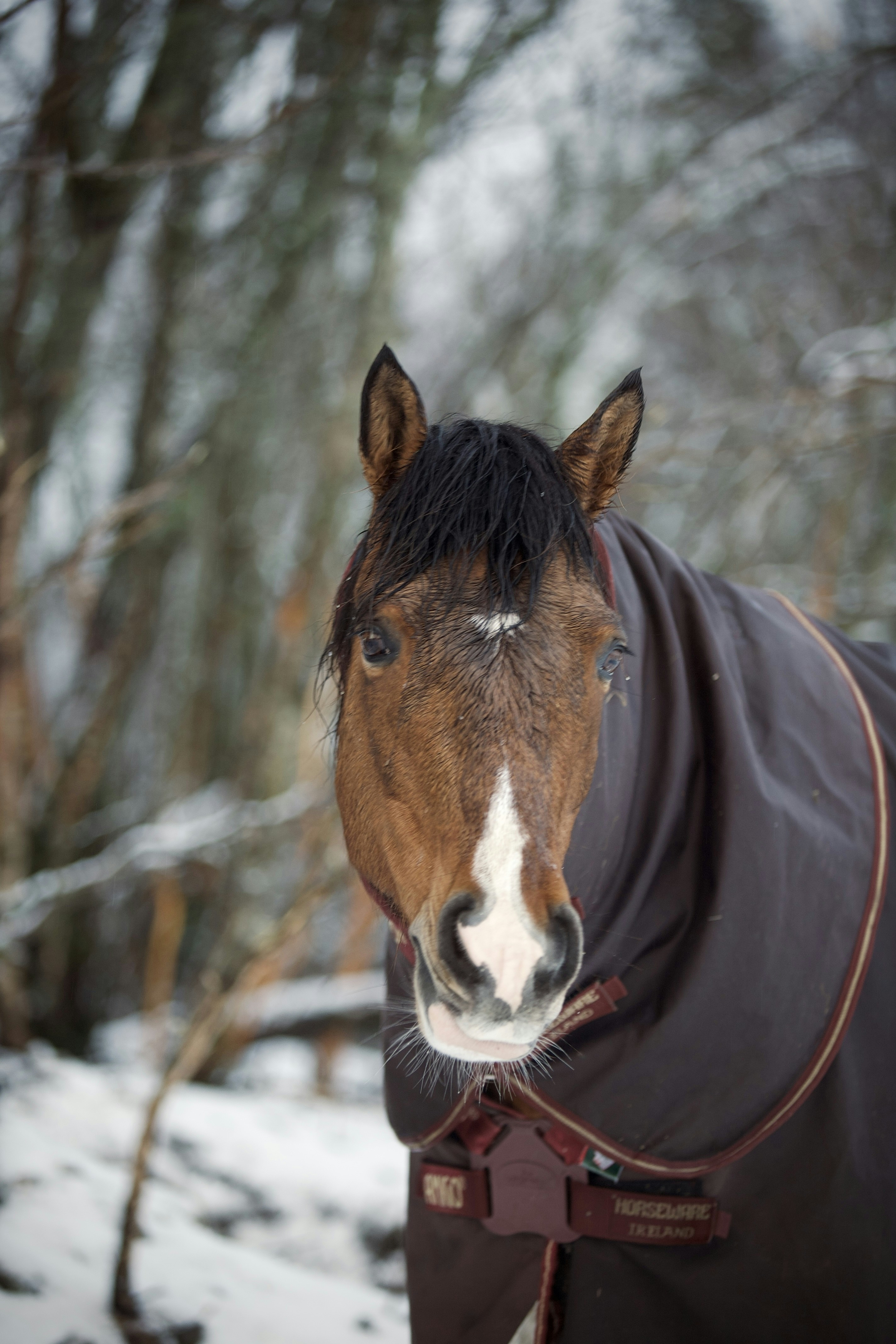 Photo by kristinokarlsen