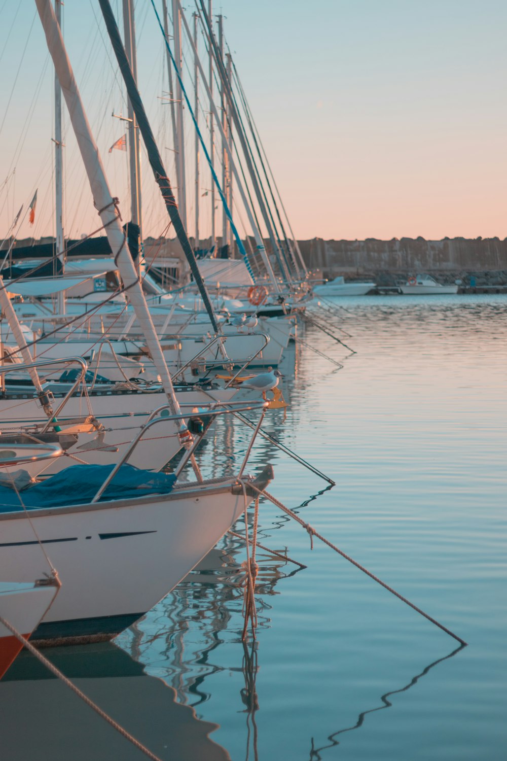 a group of sailboats are docked in the water