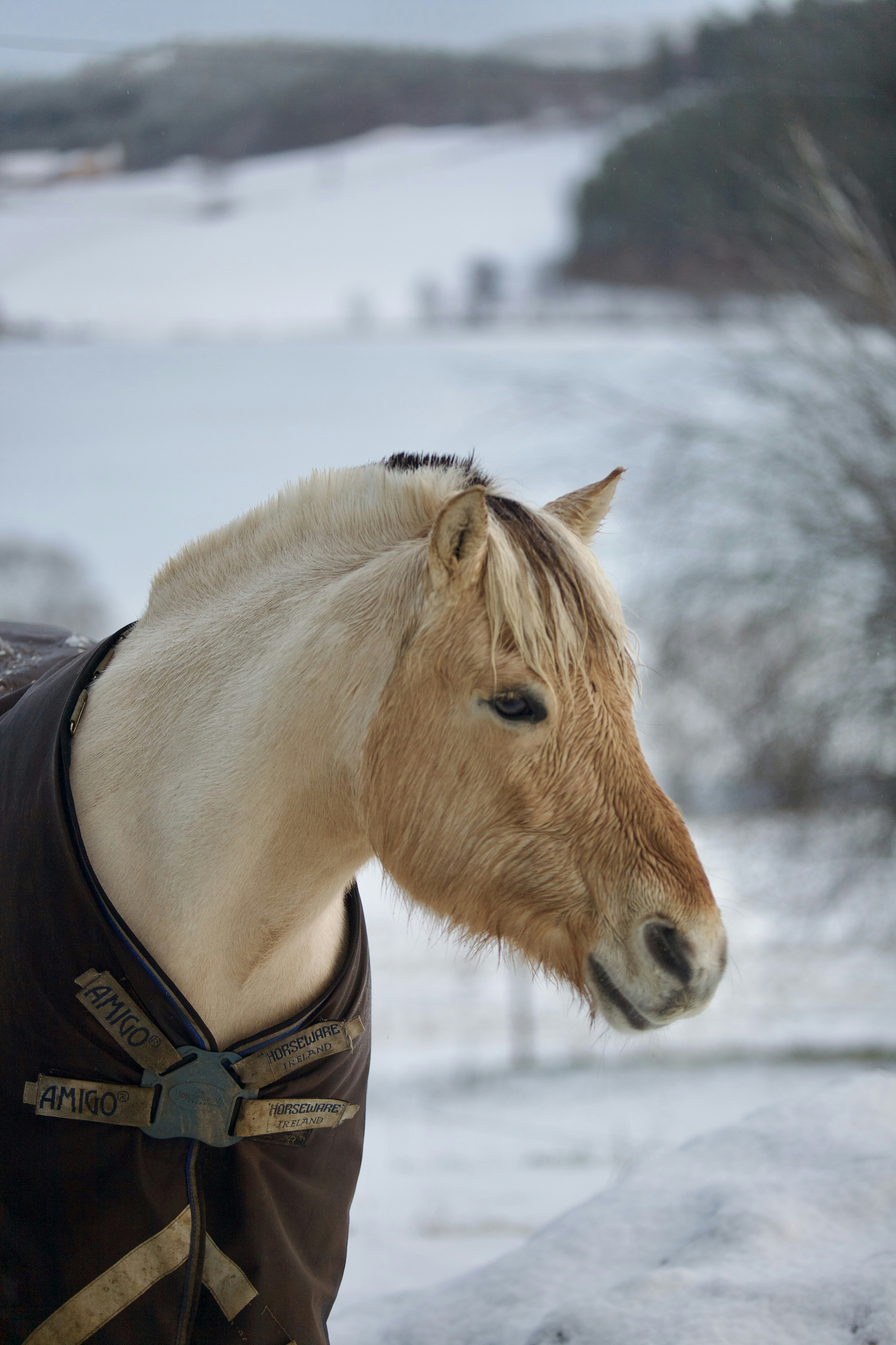 Photo by kristinokarlsen