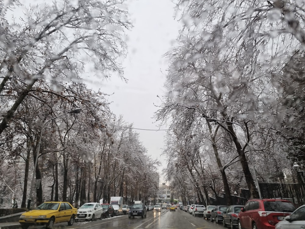 a street filled with lots of trees covered in snow