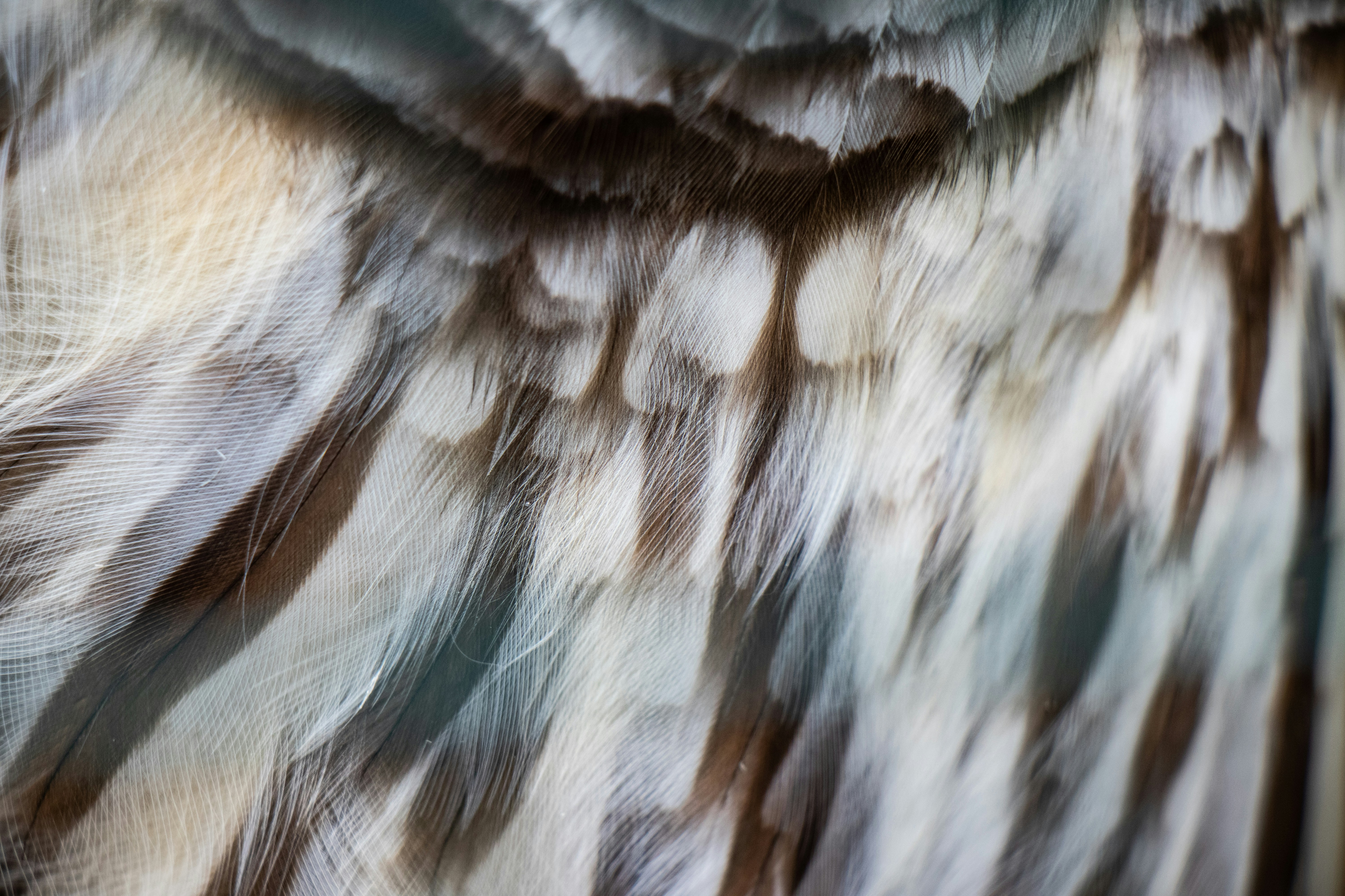 Photo by jacqueline_flock