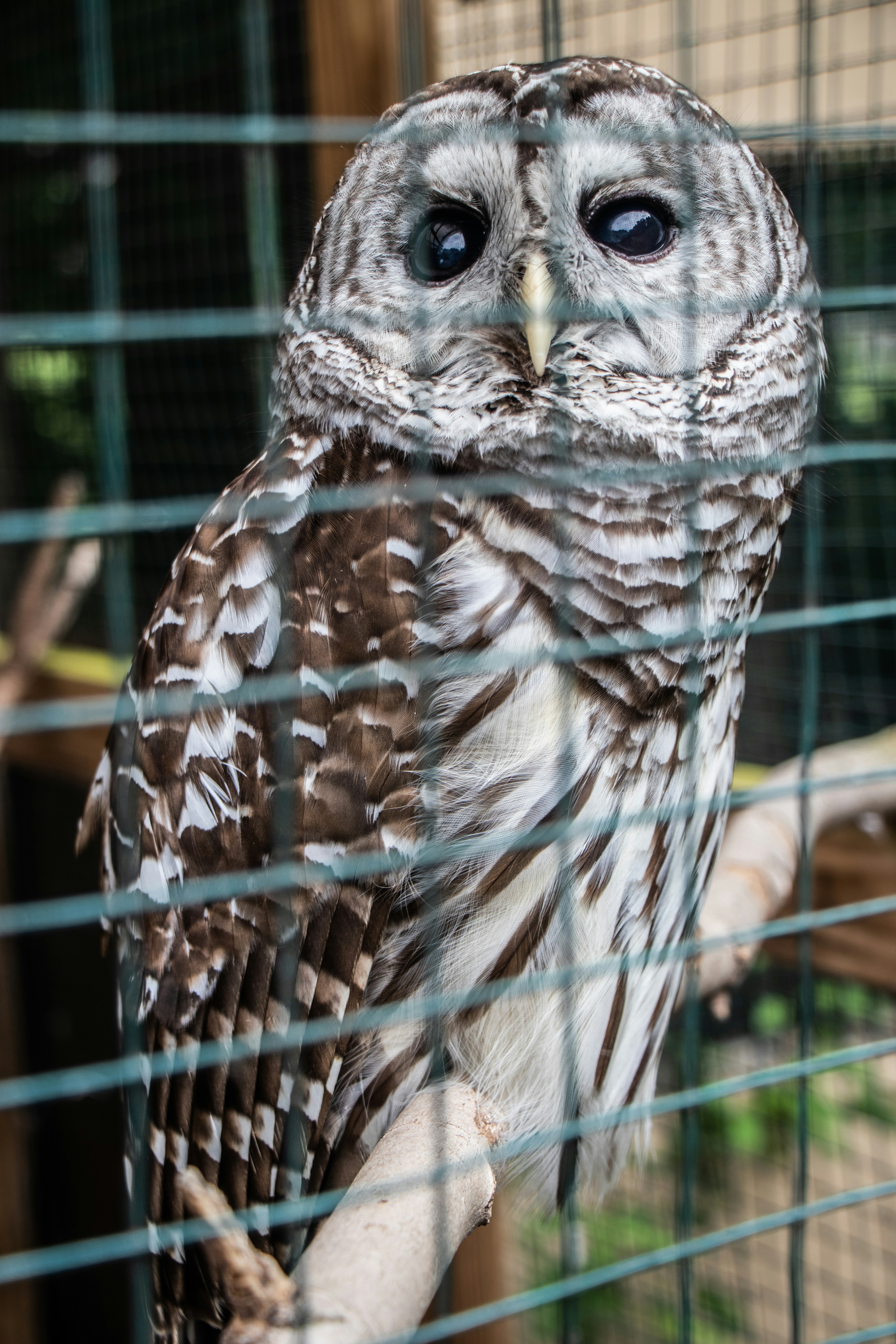 Photo by jacqueline_flock