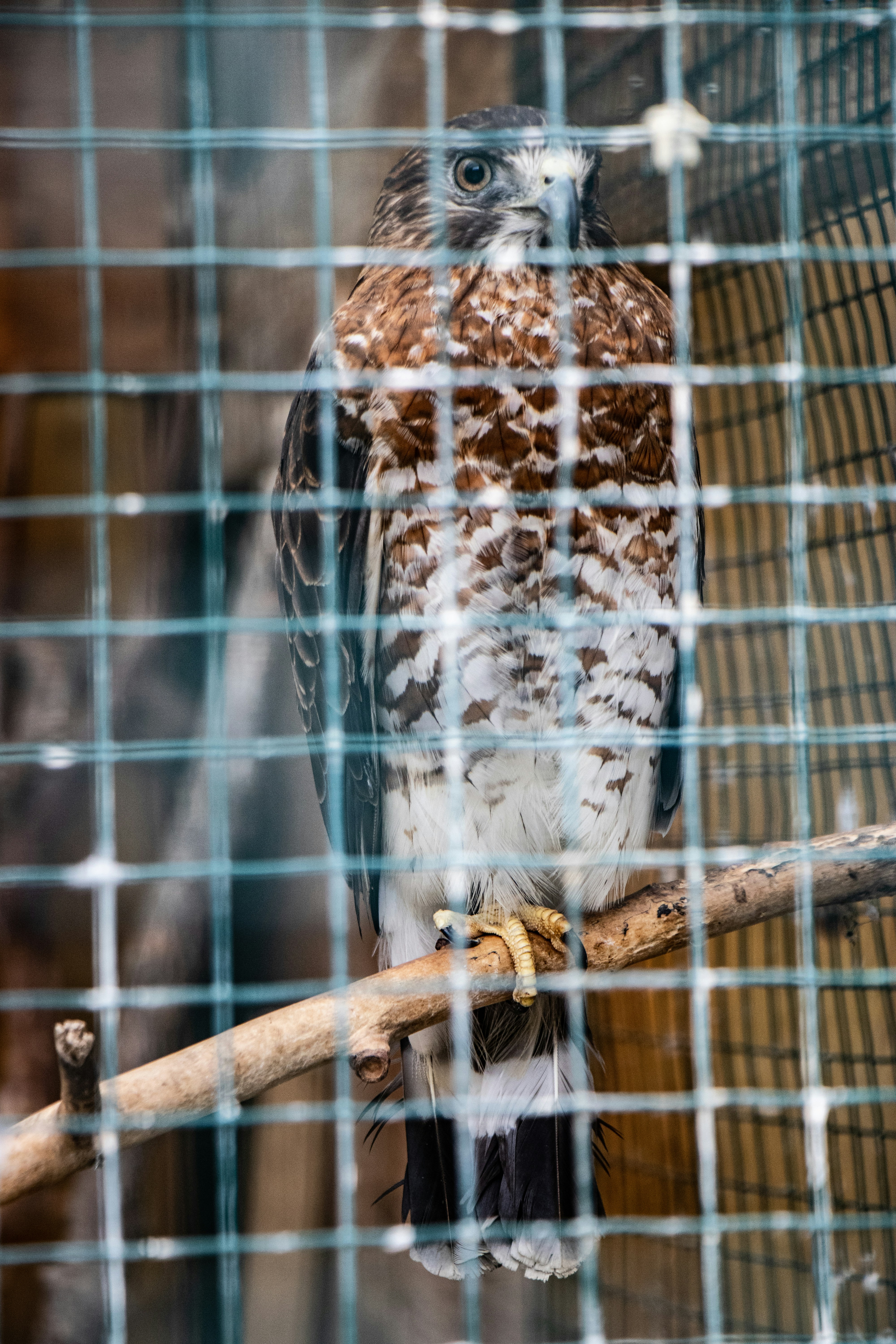 Photo by jacqueline_flock