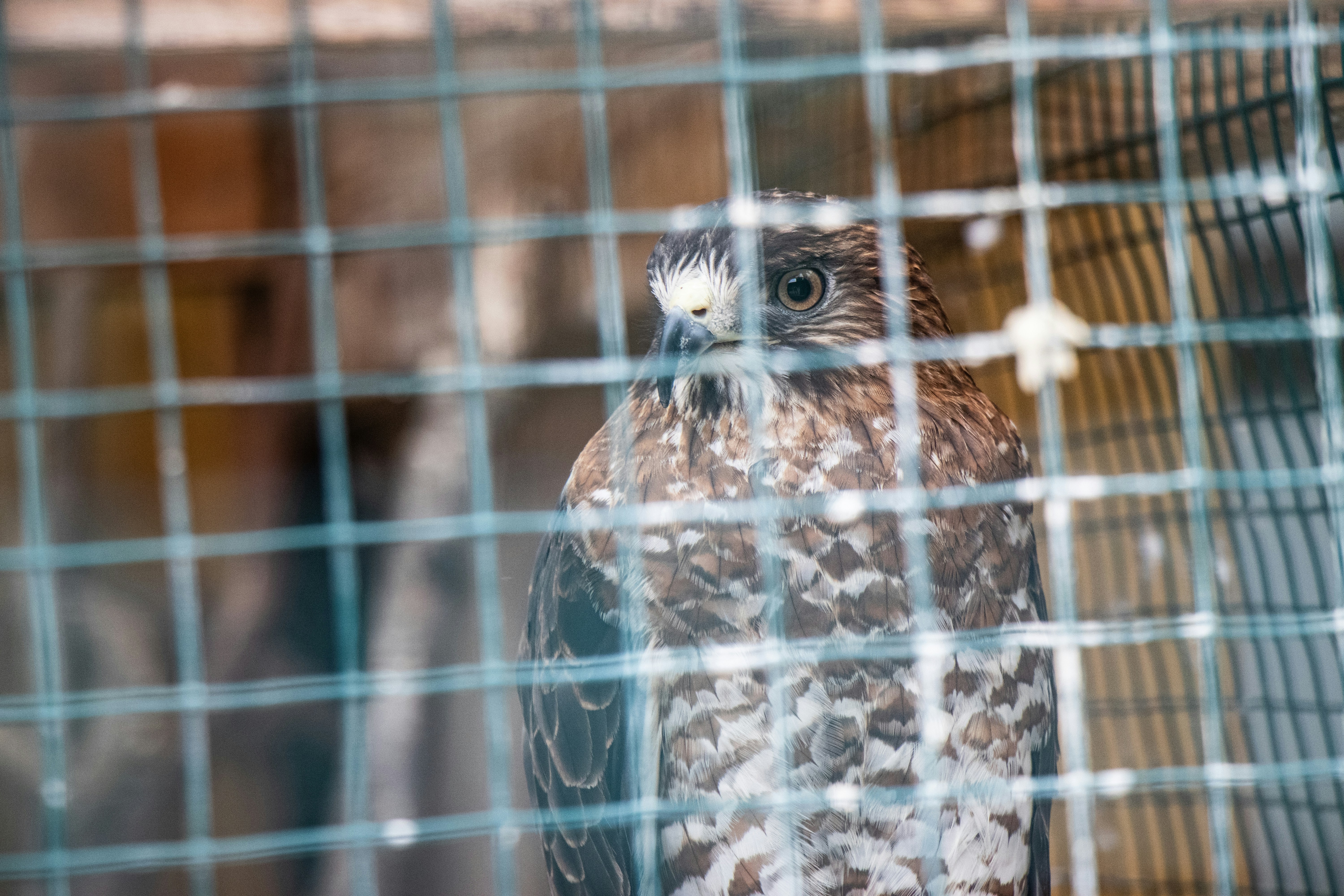 Photo by jacqueline_flock