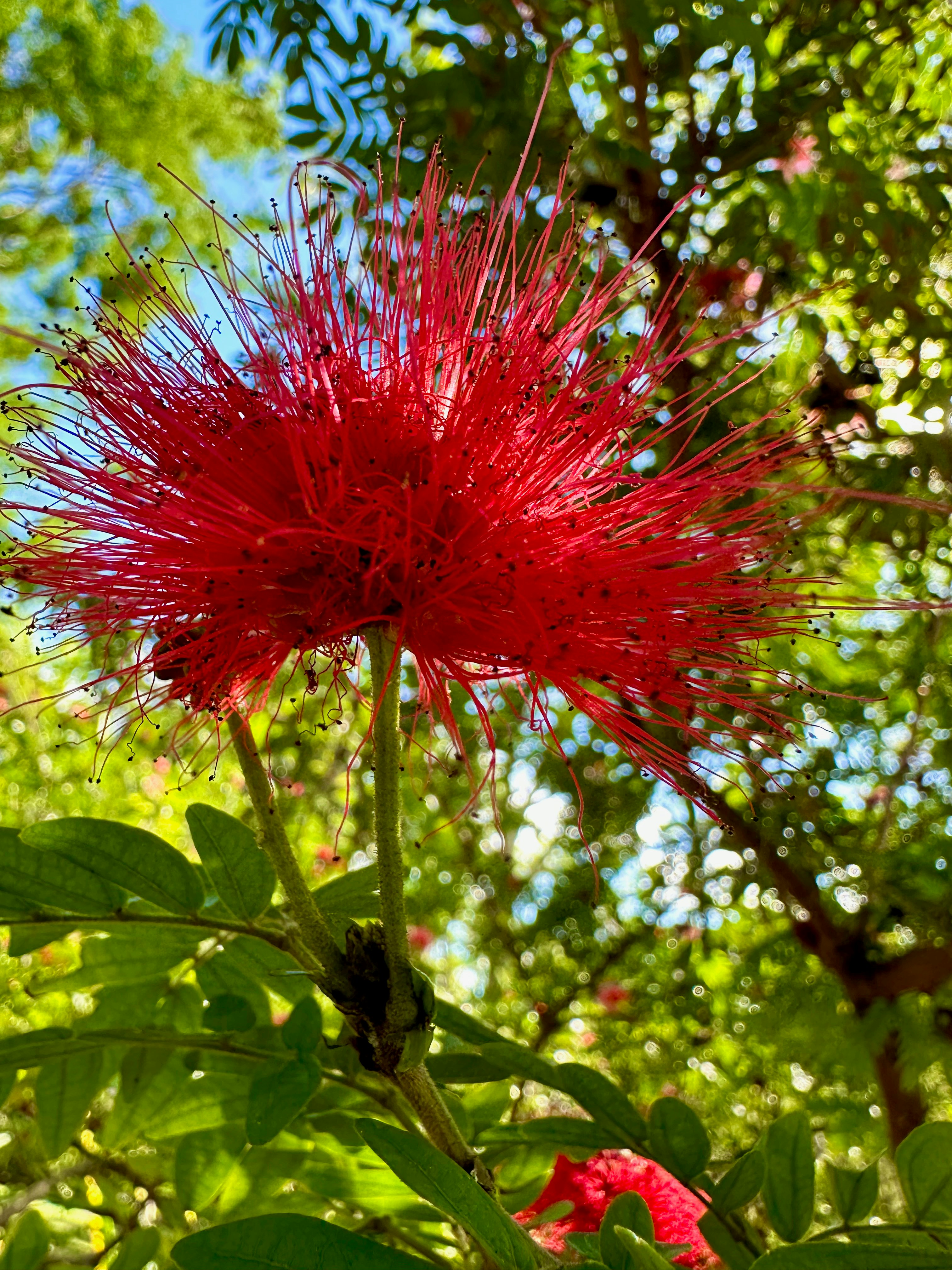 Photo by steve_barb_sande