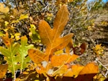 Close-up of autumn-themed clothing textures and patterns.