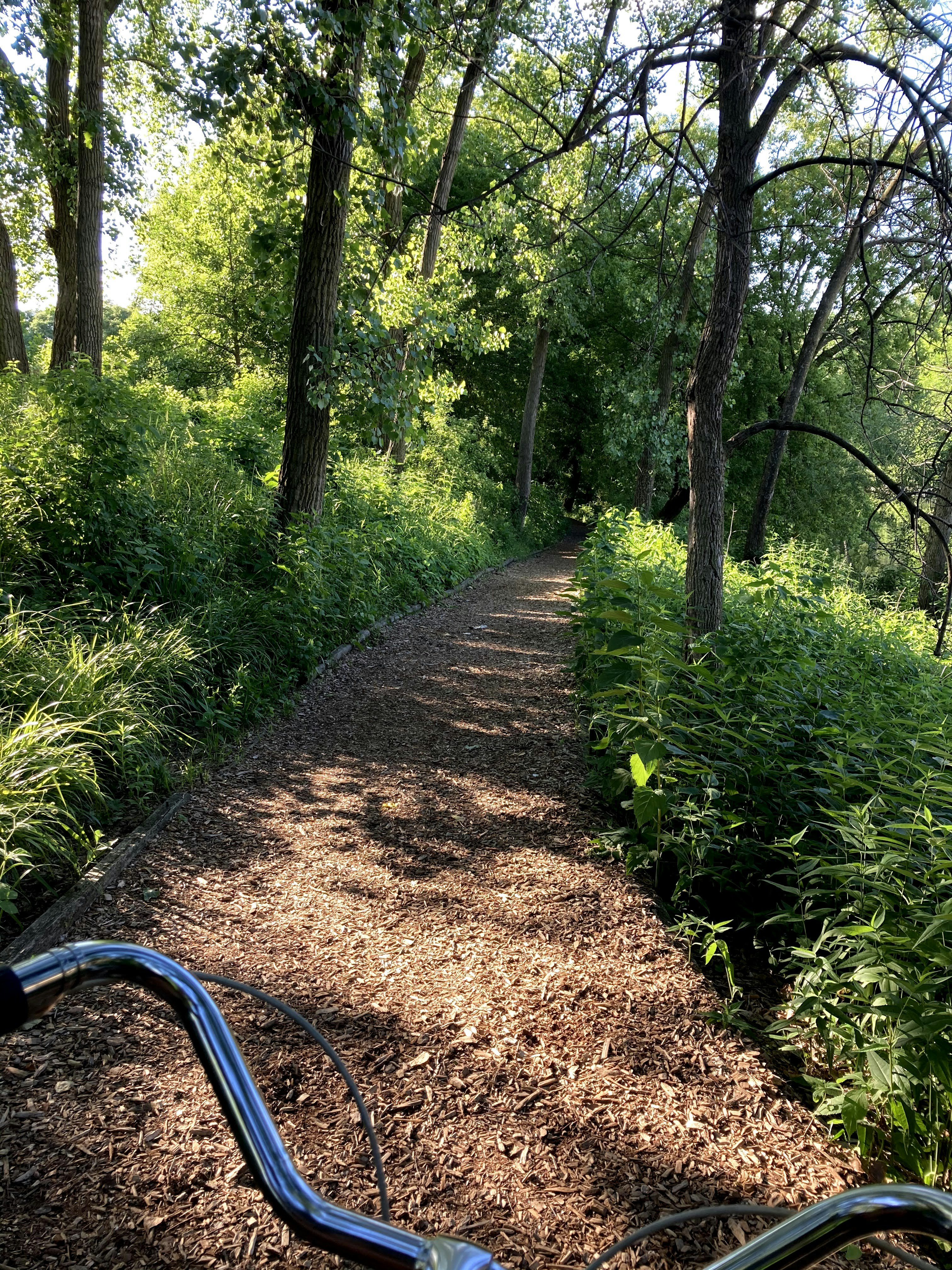a bike is parked on a trail in the woods