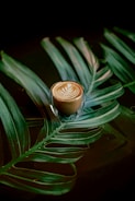 A beautifully crafted cup of coffee sits atop a large, vibrant green tropical leaf. The coffee features a delicate latte art design on its surface, showcasing intricate patterns. The background is dark, contrasting with the vivid green of the leaf and the creamy brown of the coffee.
