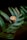 A beautifully crafted cup of coffee sits atop a large, vibrant green tropical leaf. The coffee features a delicate latte art design on its surface, showcasing intricate patterns. The background is dark, contrasting with the vivid green of the leaf and the creamy brown of the coffee.