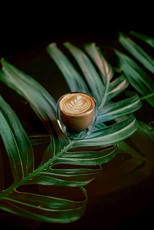 A beautifully crafted cup of coffee sits atop a large, vibrant green tropical leaf. The coffee features a delicate latte art design on its surface, showcasing intricate patterns. The background is dark, contrasting with the vivid green of the leaf and the creamy brown of the coffee.
