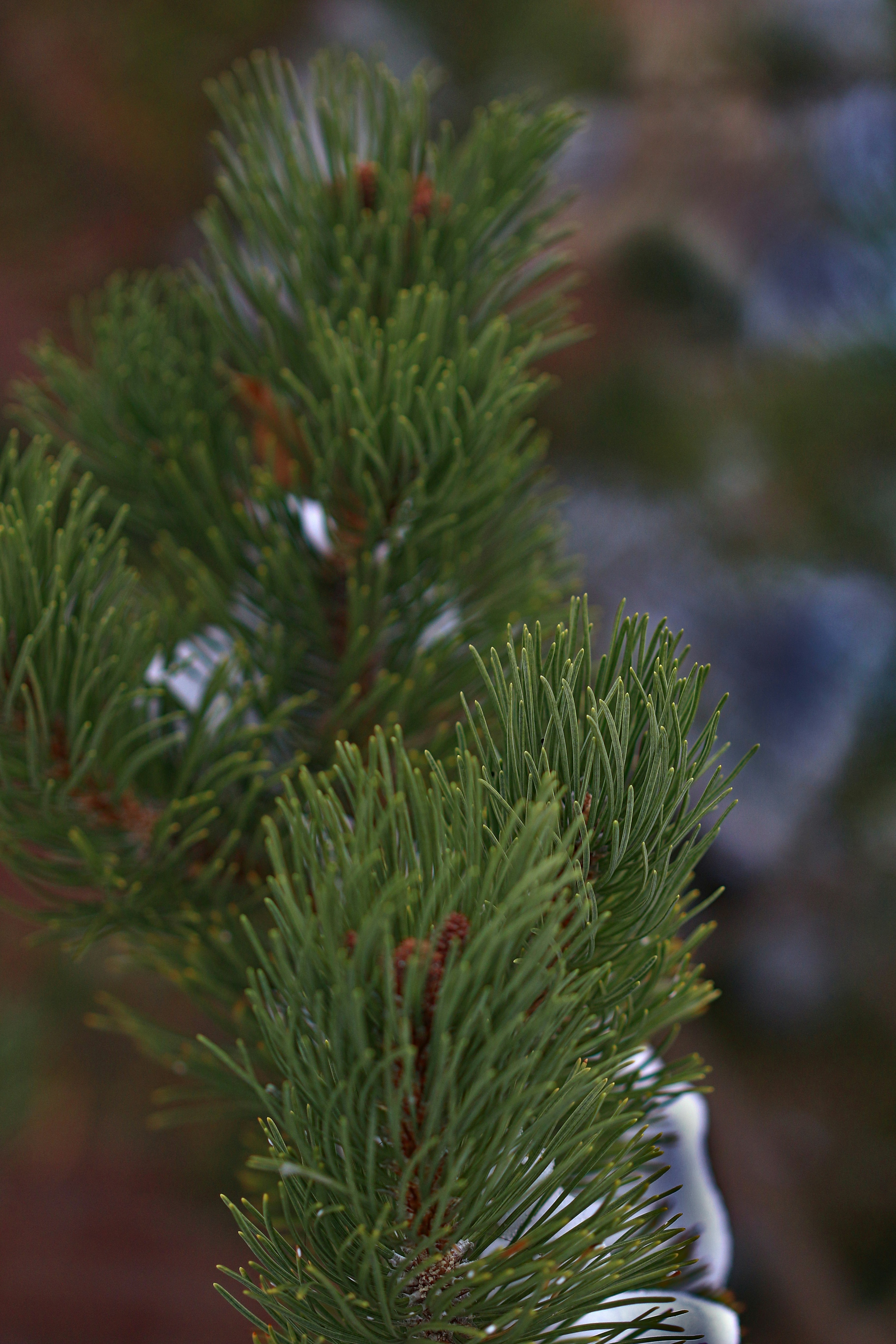 Photo by photo_tanbir